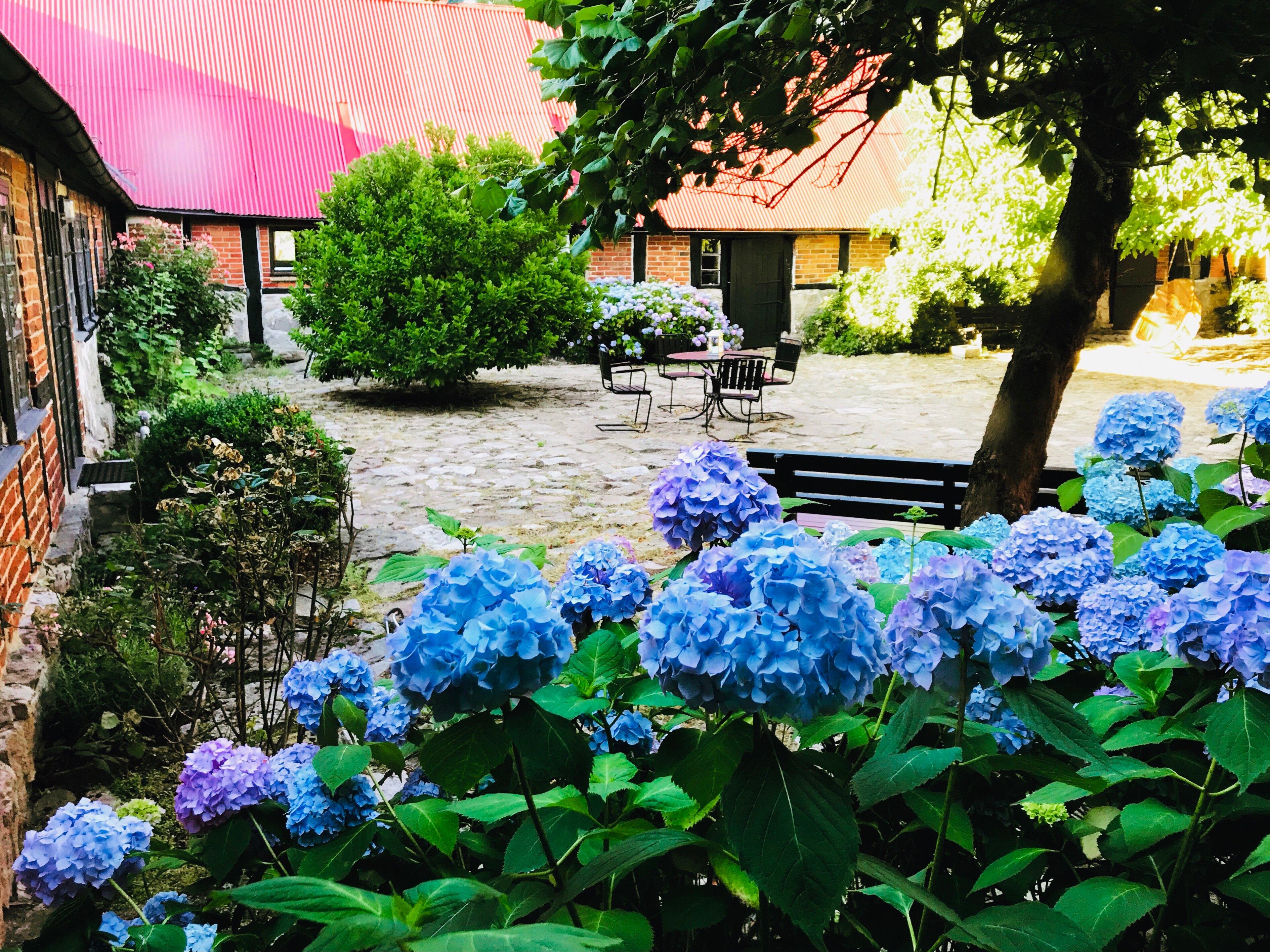 Olaols Gelato Österlen