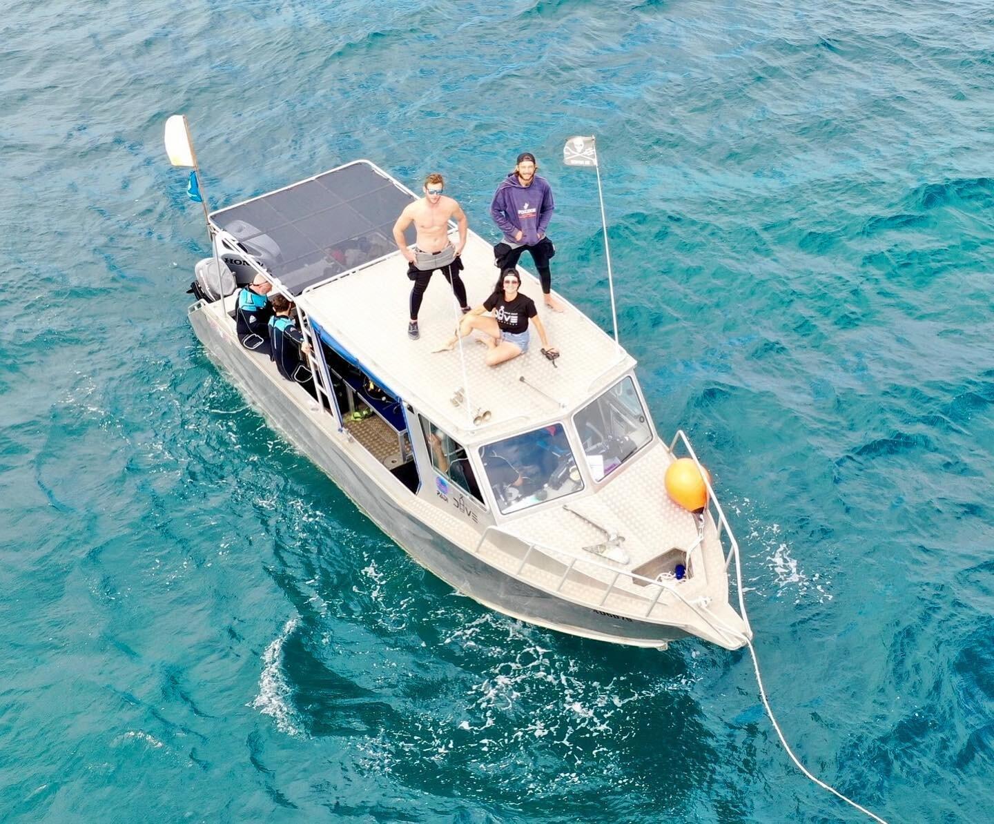 Gold Coast Dive Adventures