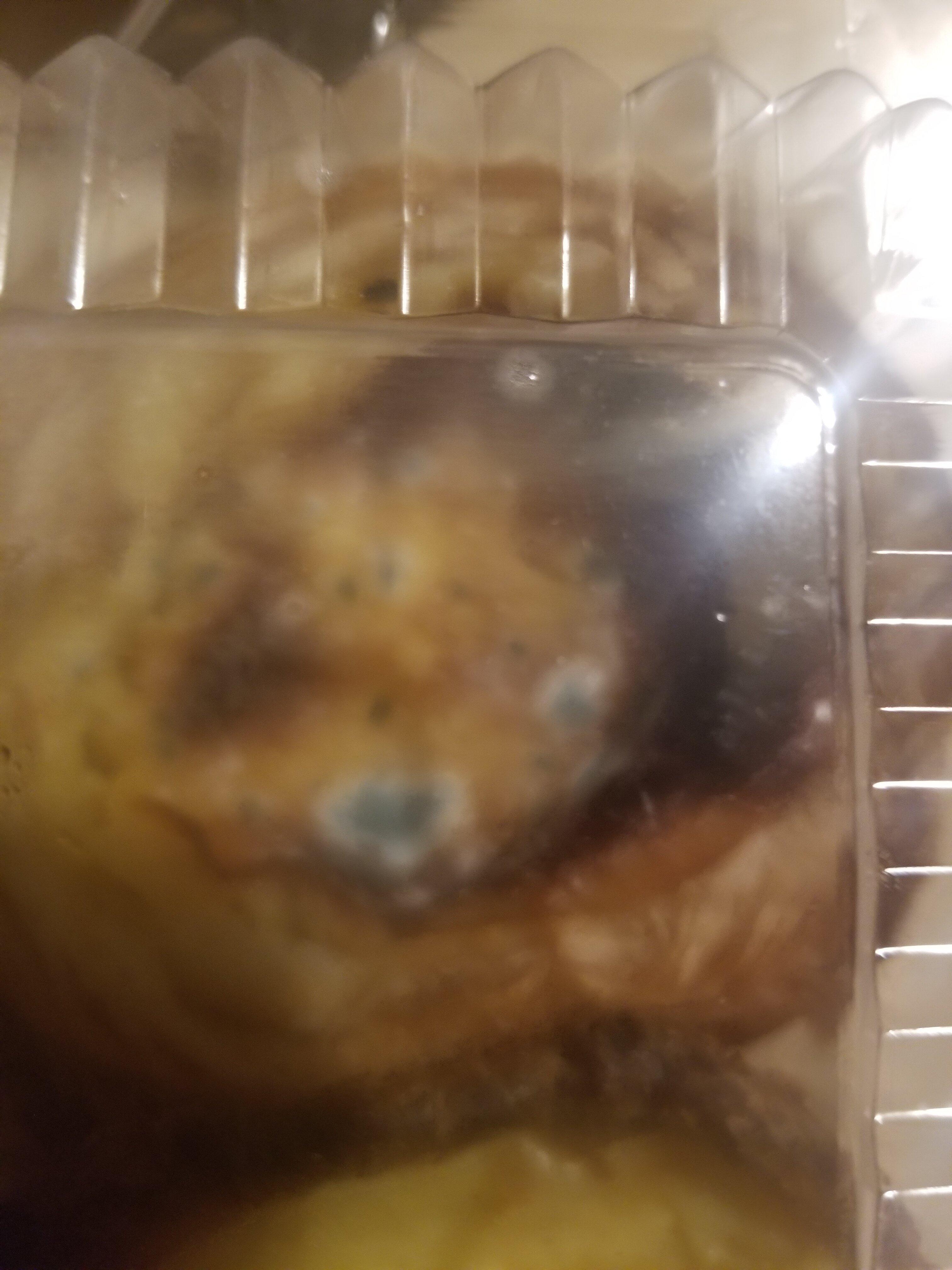 Photo by W4267YYmichellec