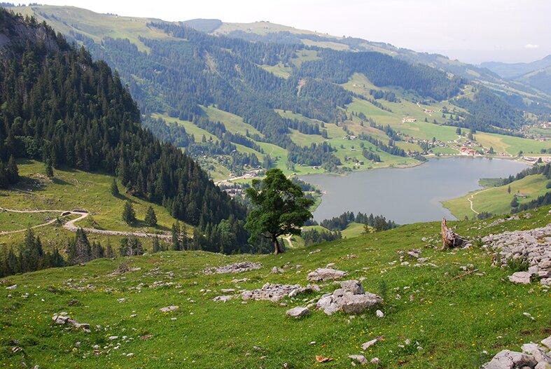 Photo by jurassica02