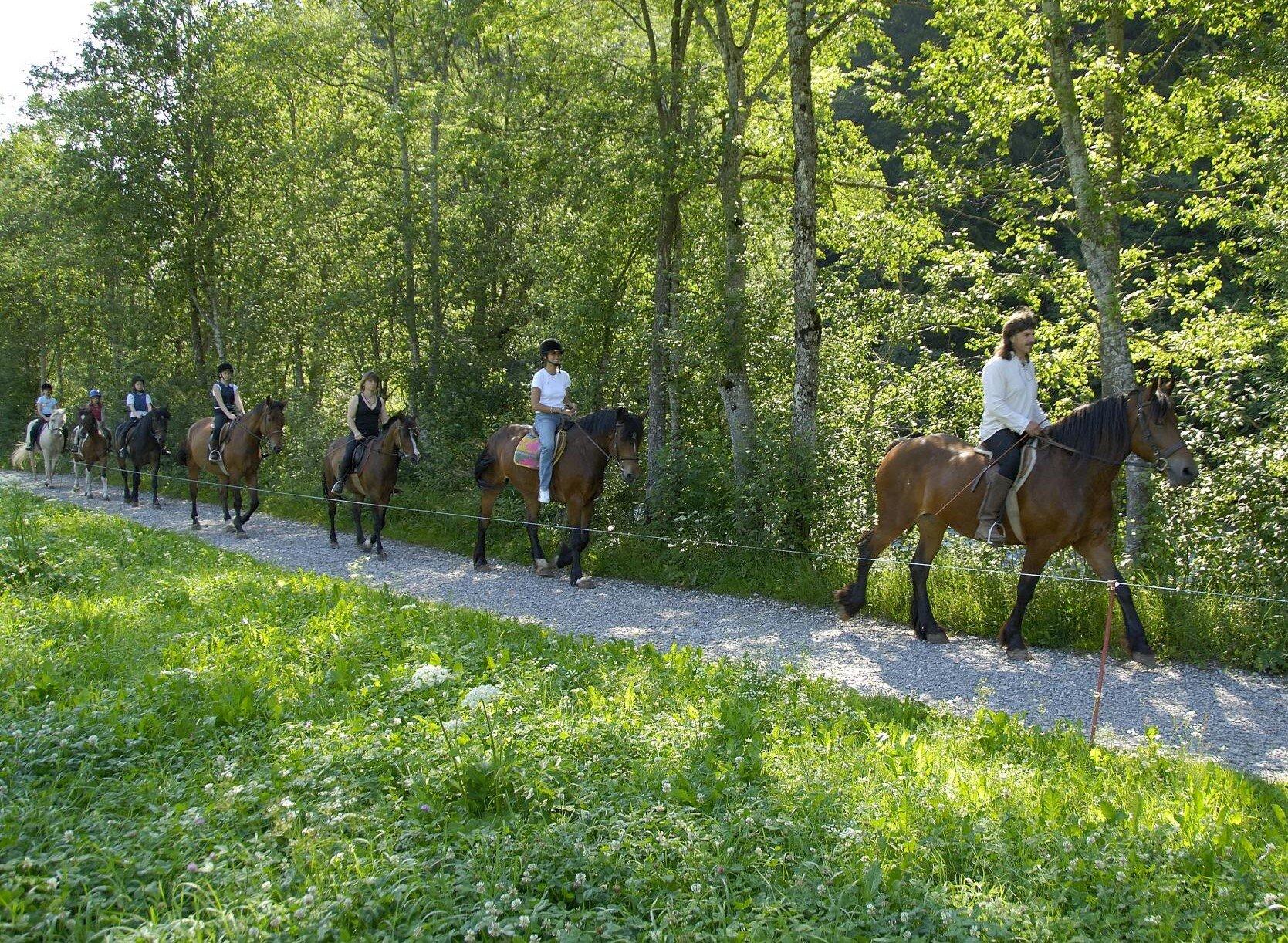 Manège De Château-d'oex