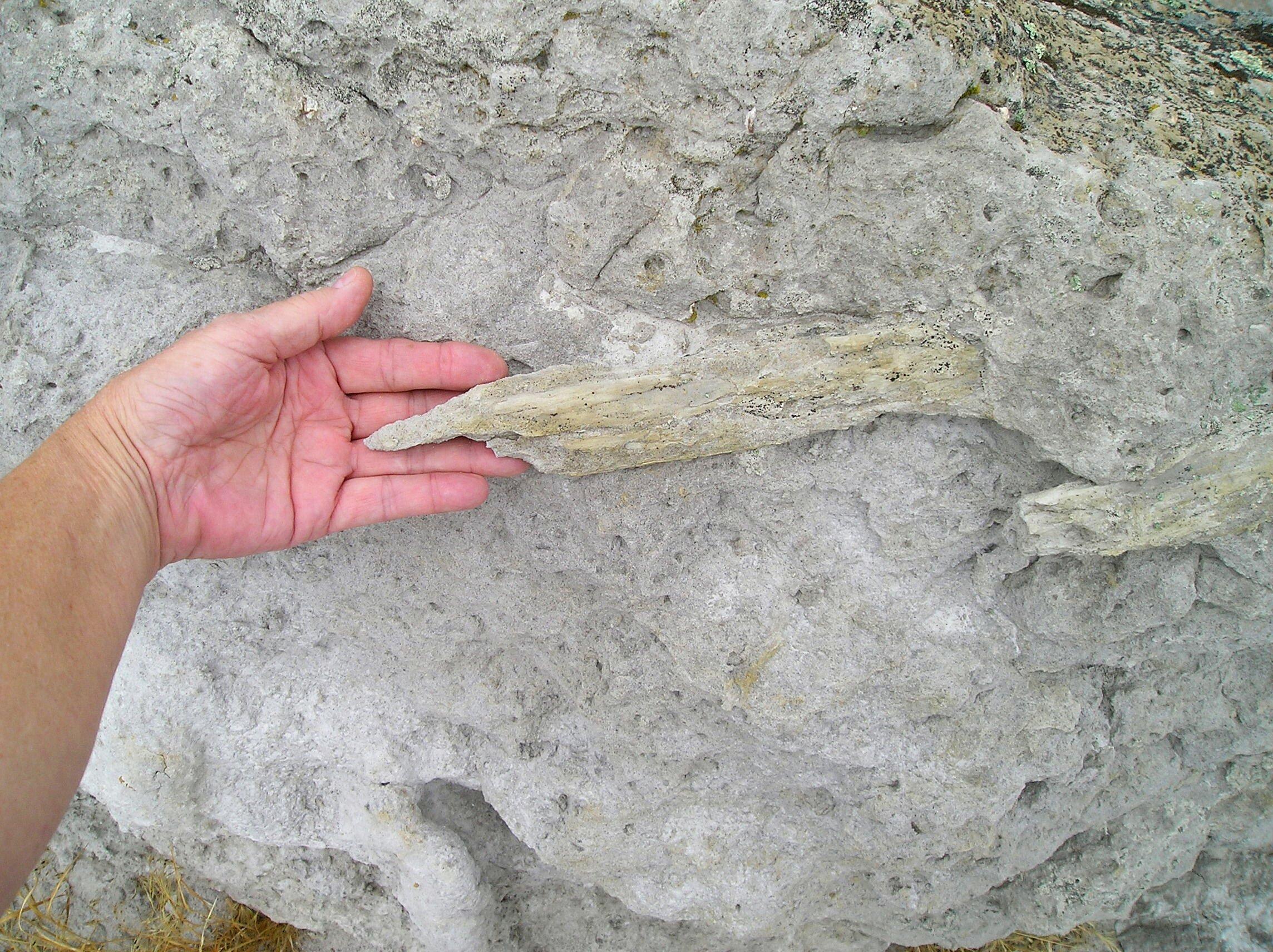 Ten Sleep, WY Map & Directions - MapQuest