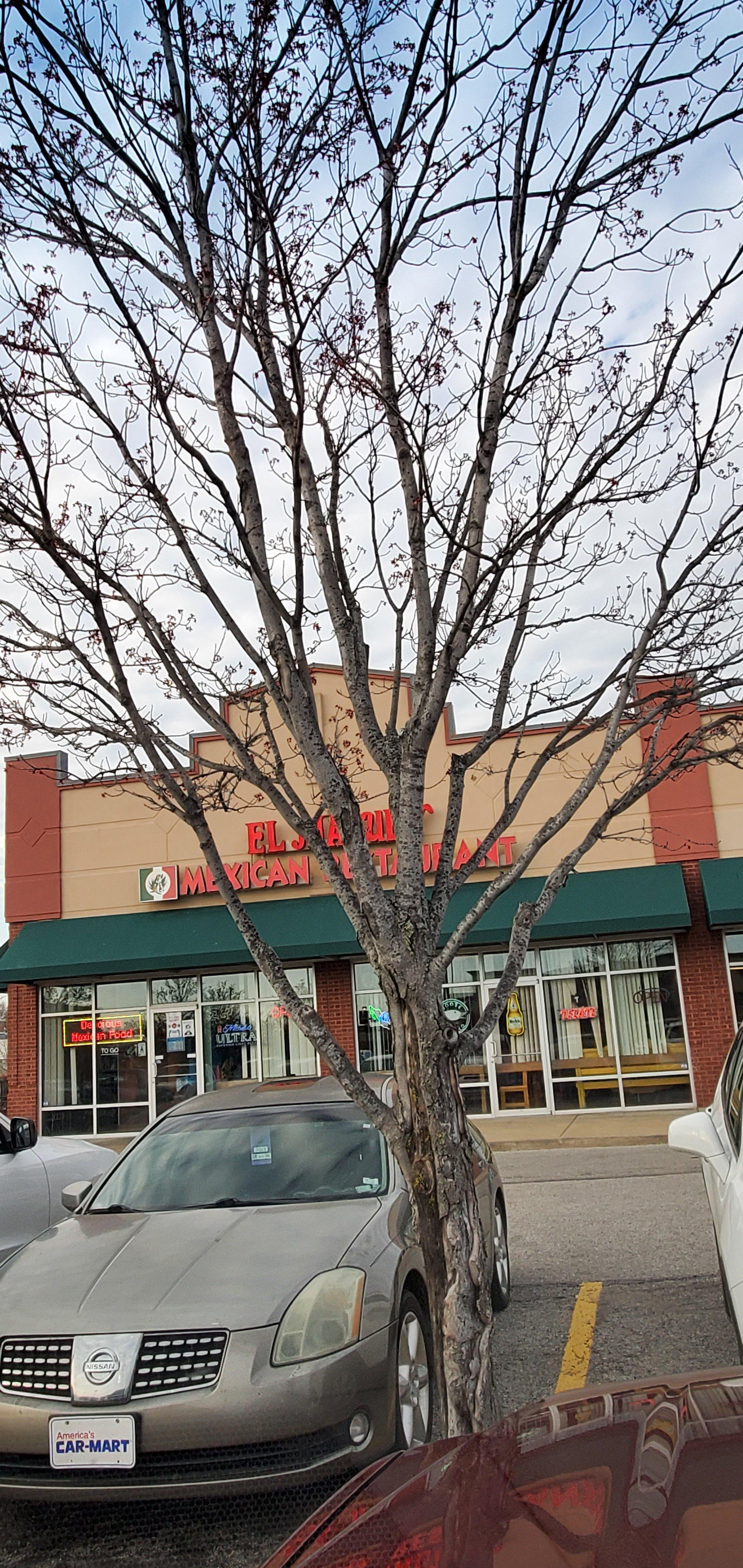 Photo by kaydG4233XI