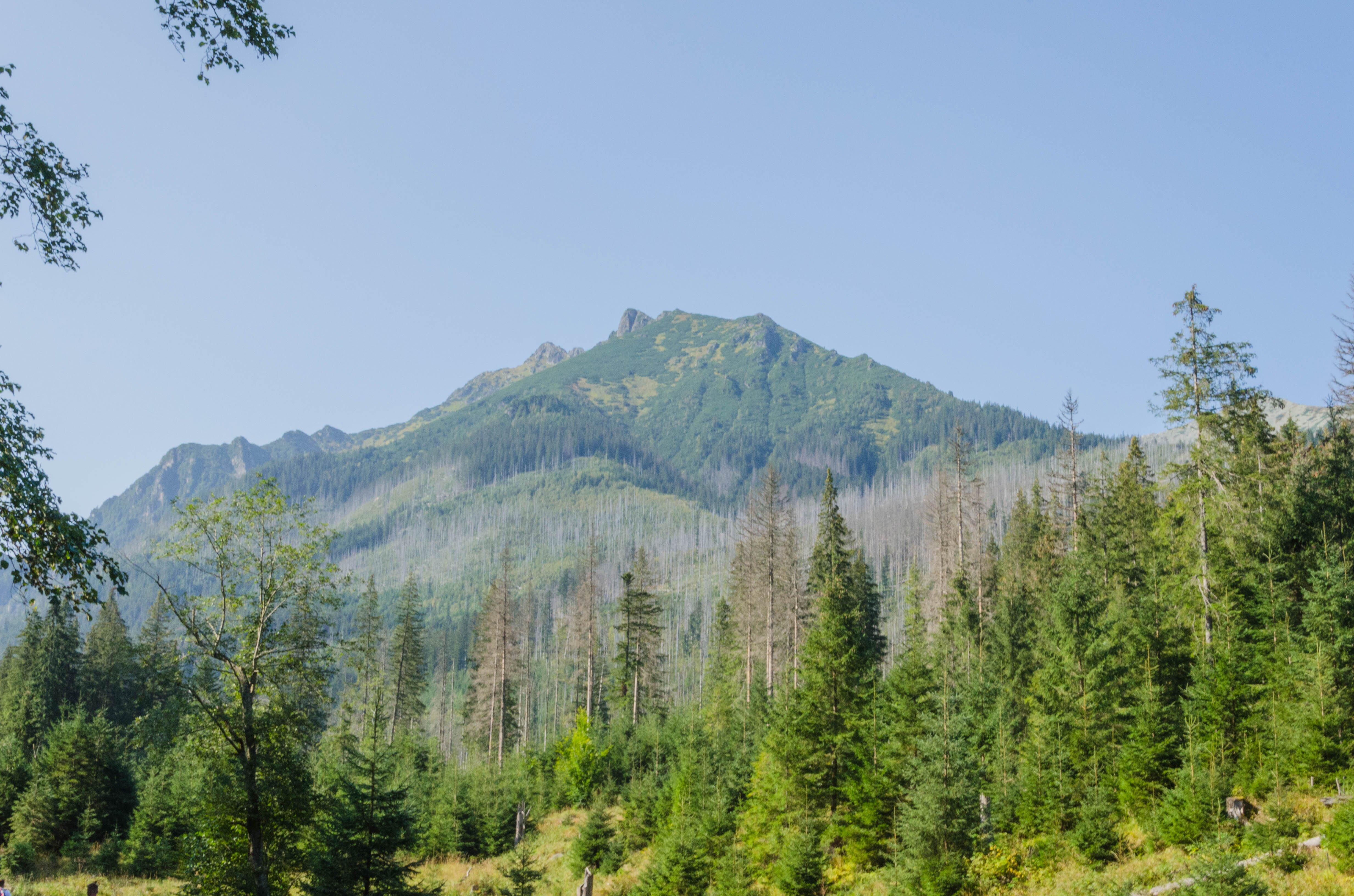 The road to Morskie Oko