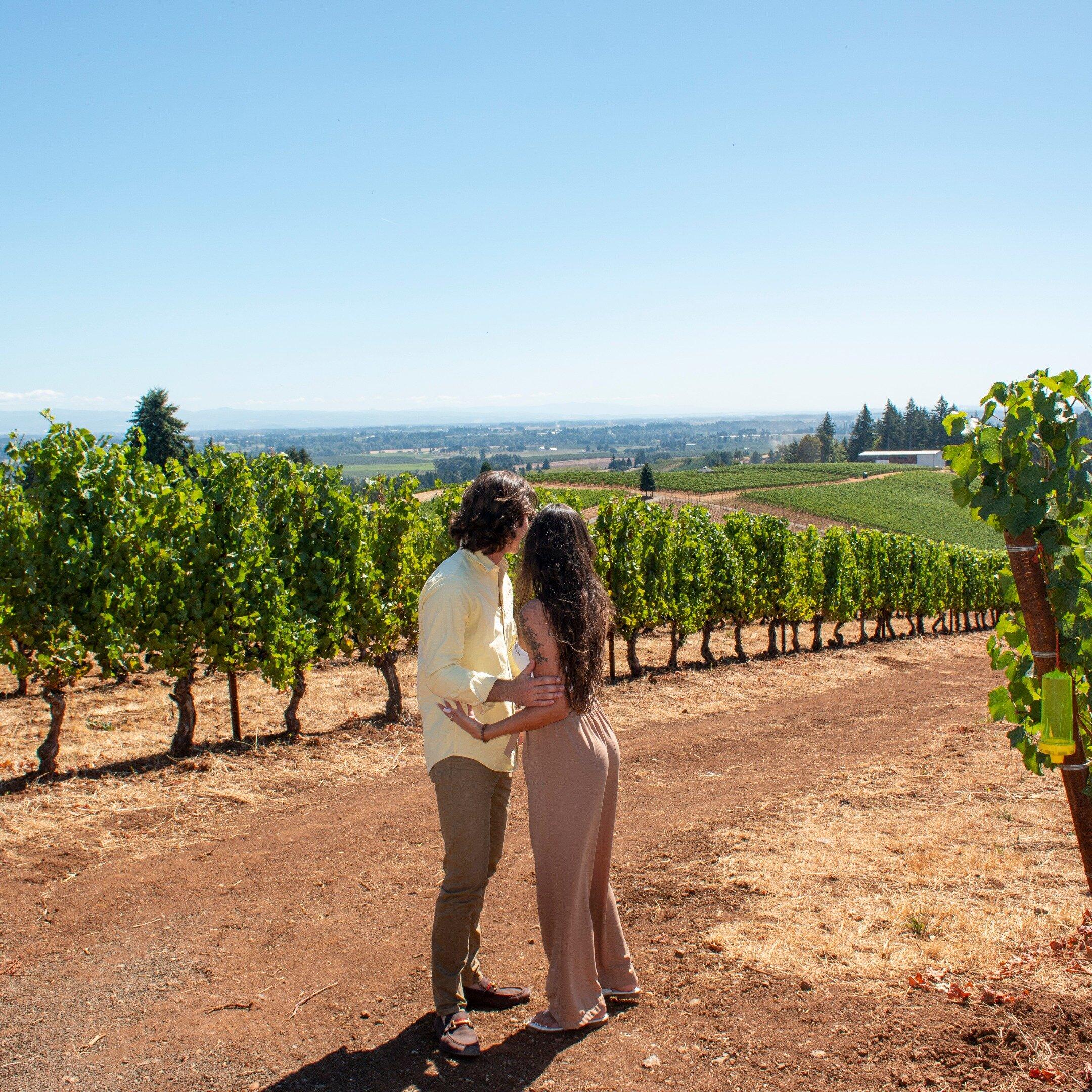 Oregon Wine Tour