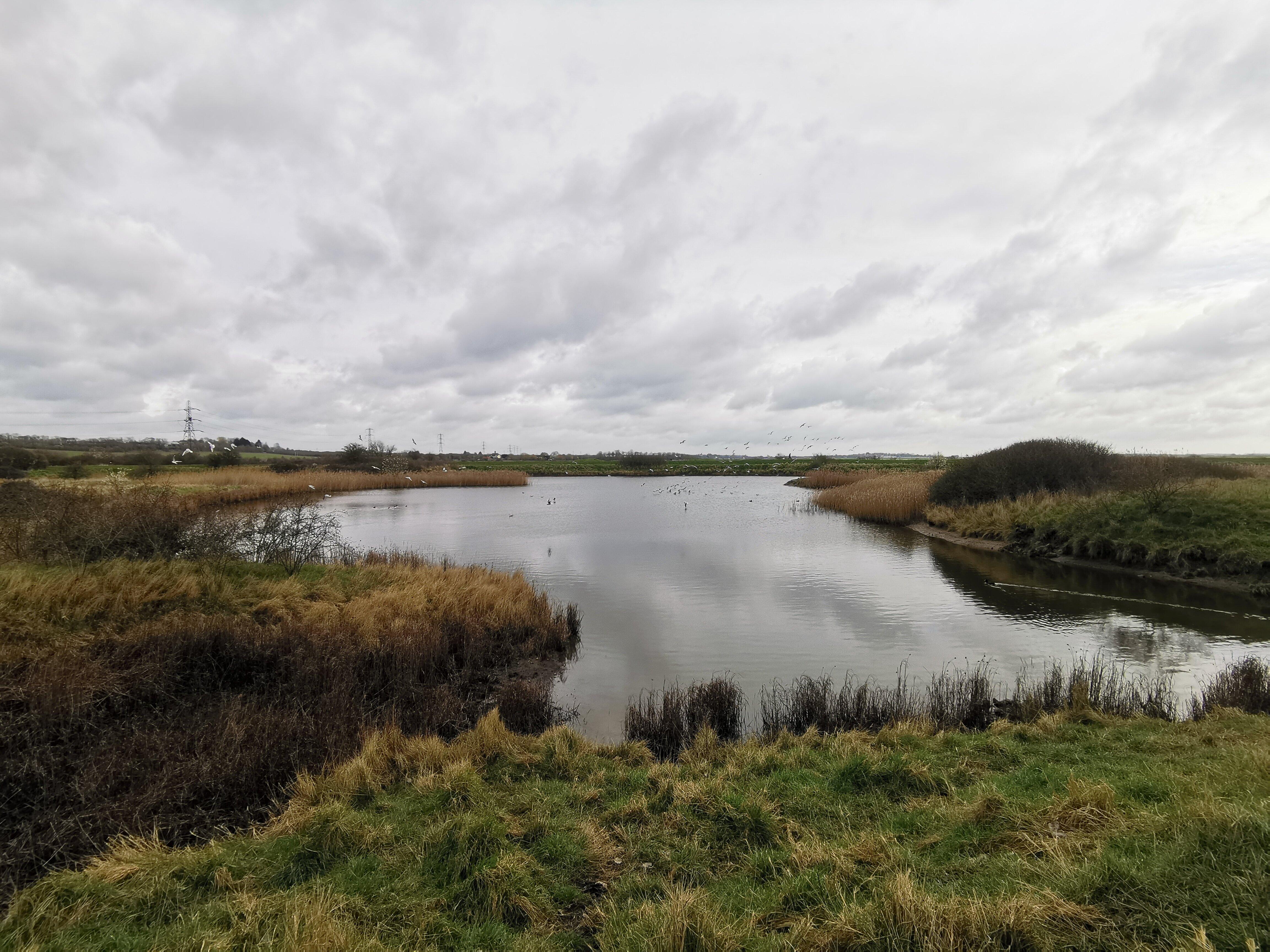 Saltcoats Park & Compass Gardens