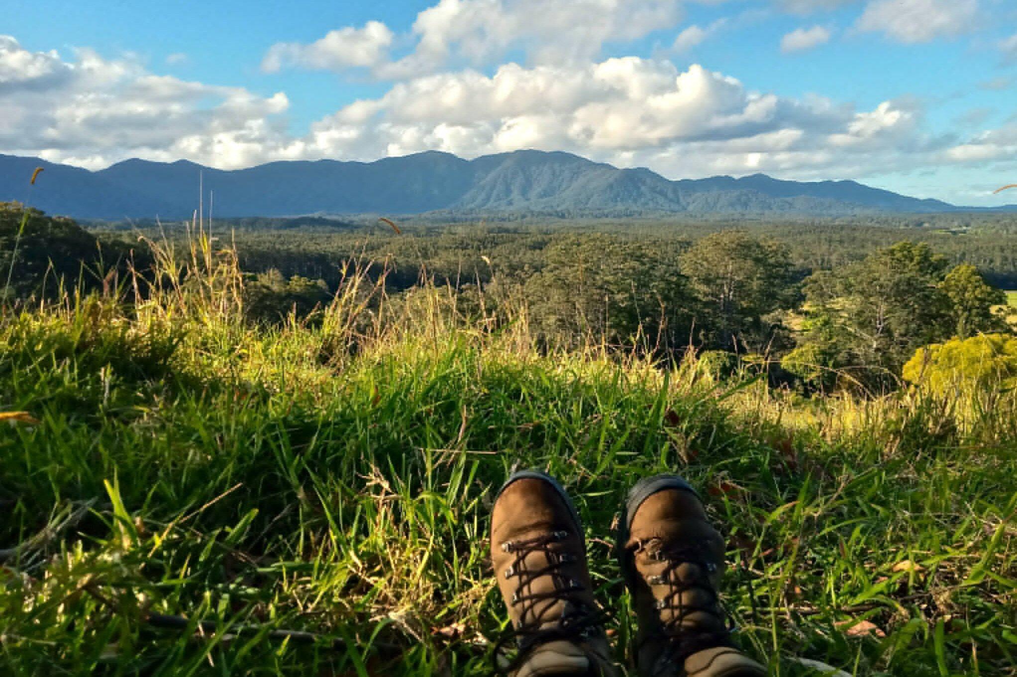 Bellingen Shire Bushwalks - OzGREEN