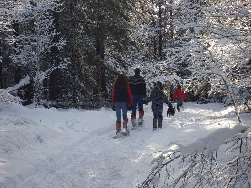 Taseko Adventures