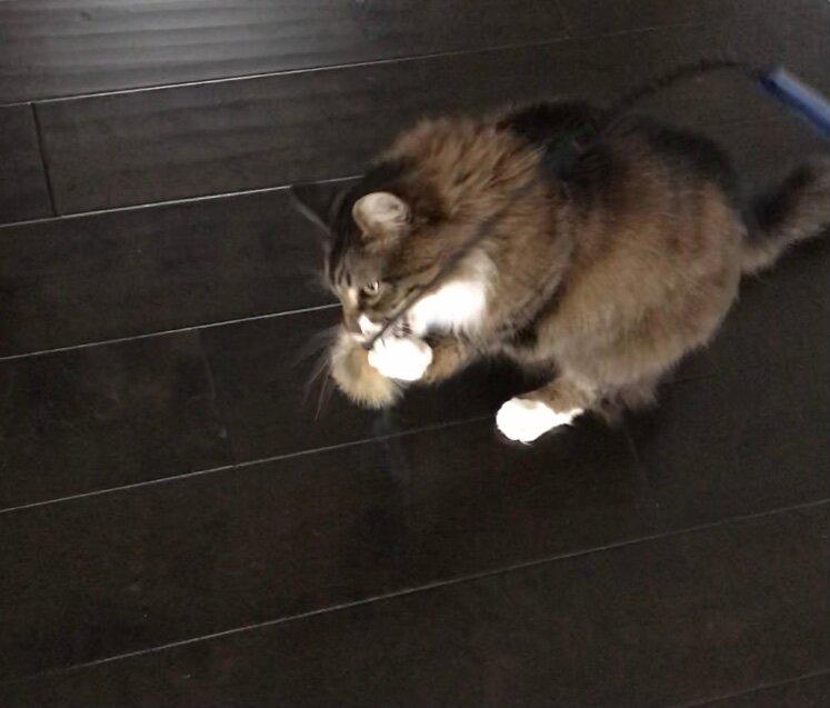 Photo by Sassy-N-Stylish