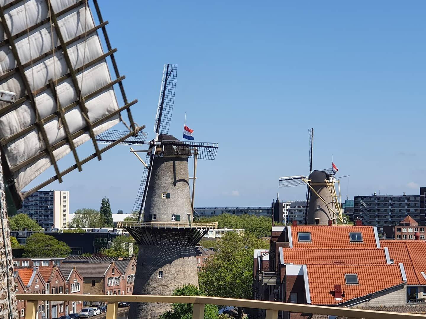 Schiedam Windmills
