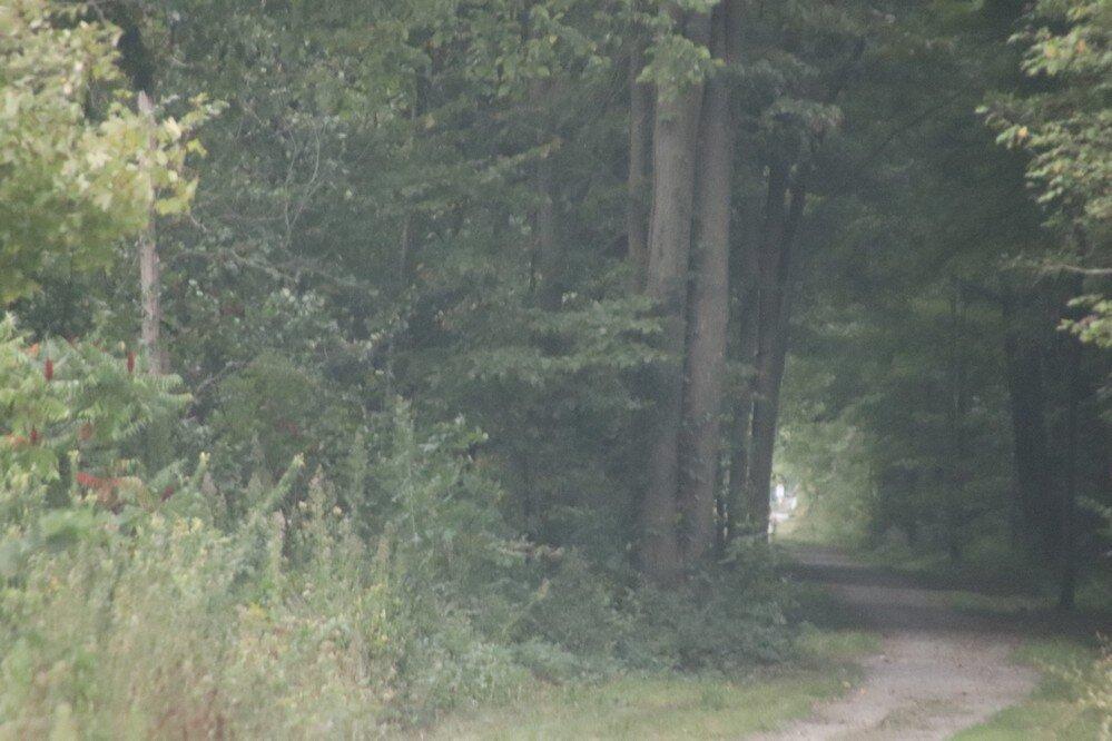 Gerry Berkhout Trail, Pelham