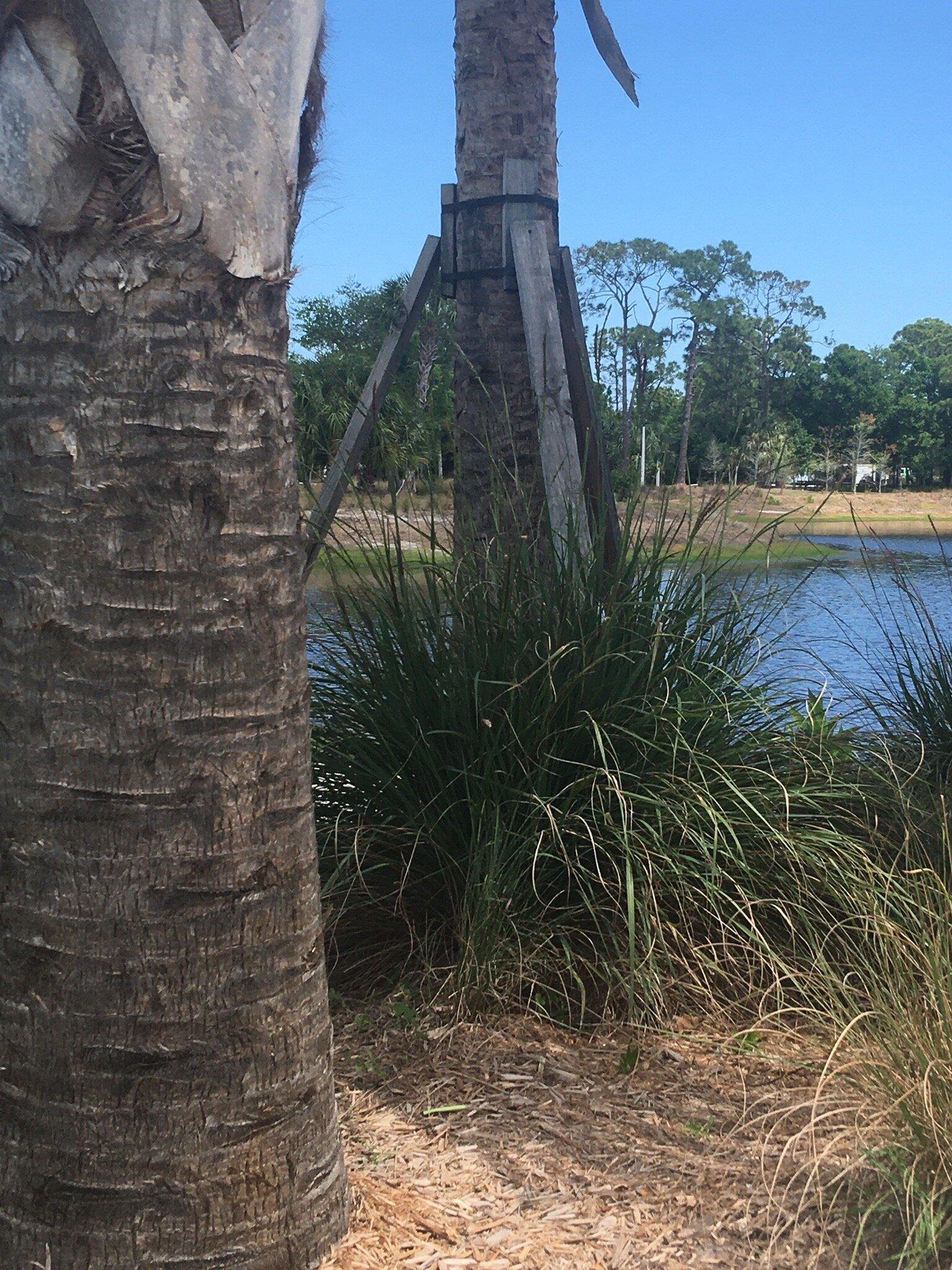 Cinquez Park Dog Park