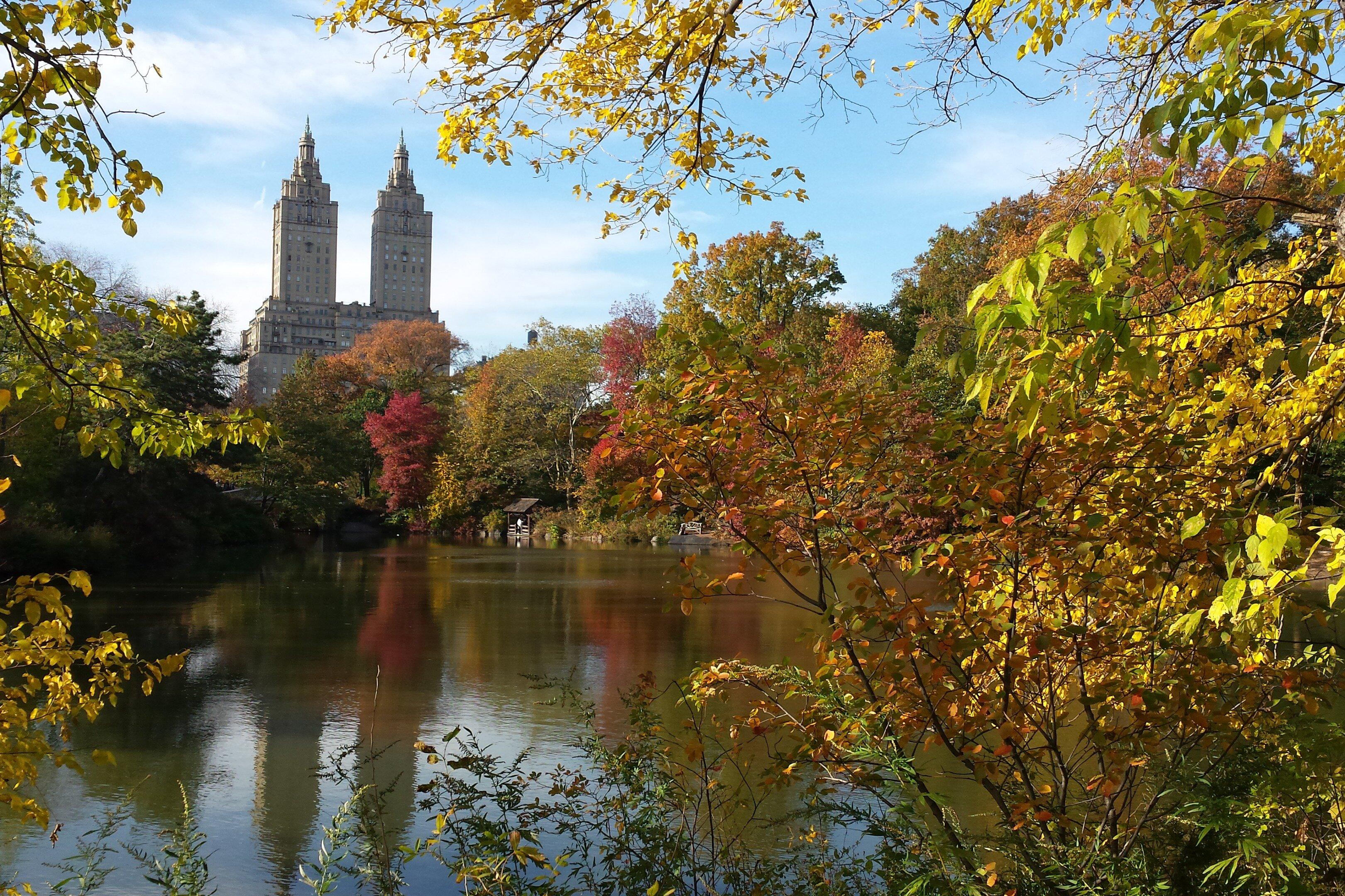 Tales of the city tours