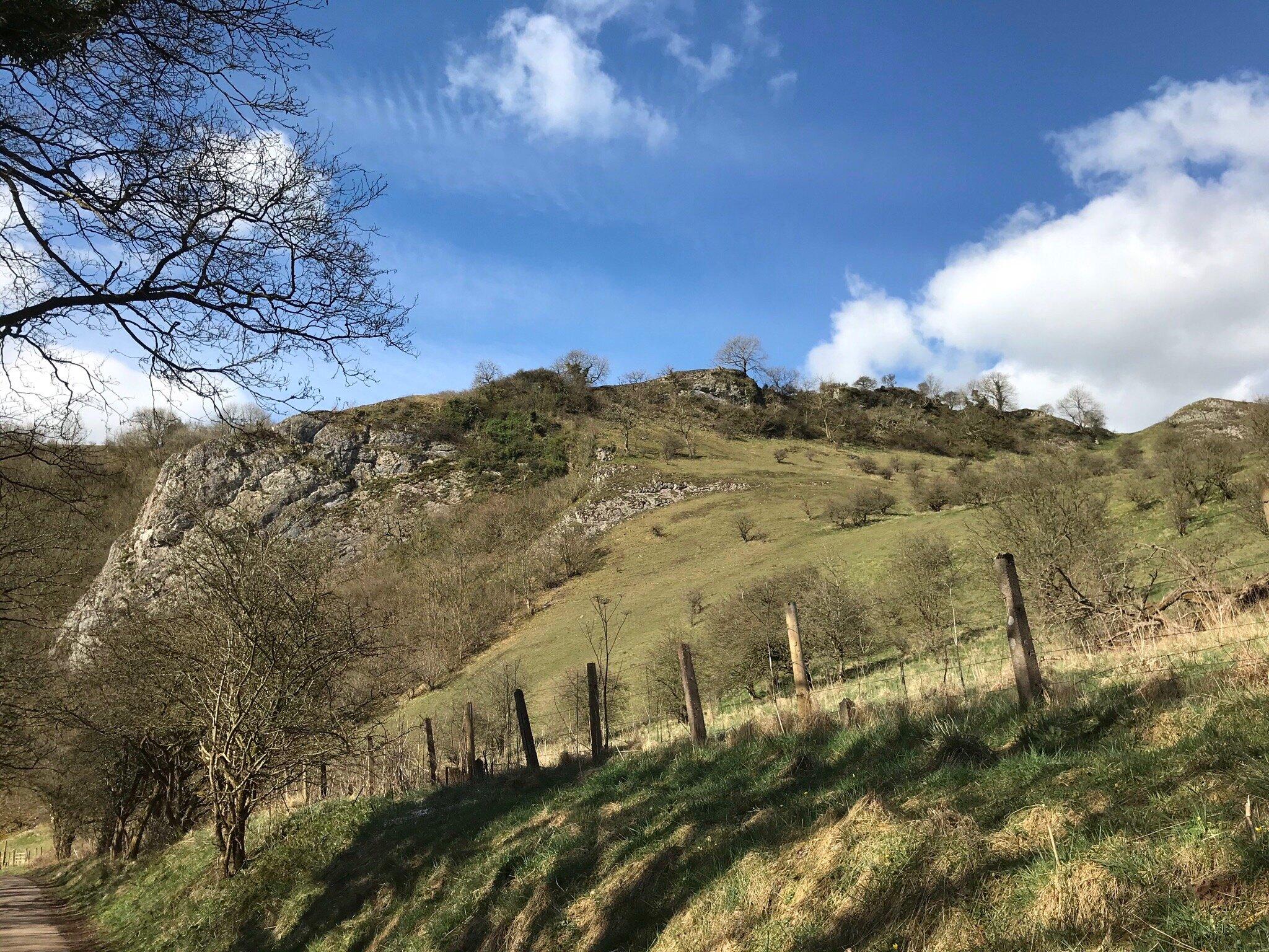 Wetton Mill Tea Room