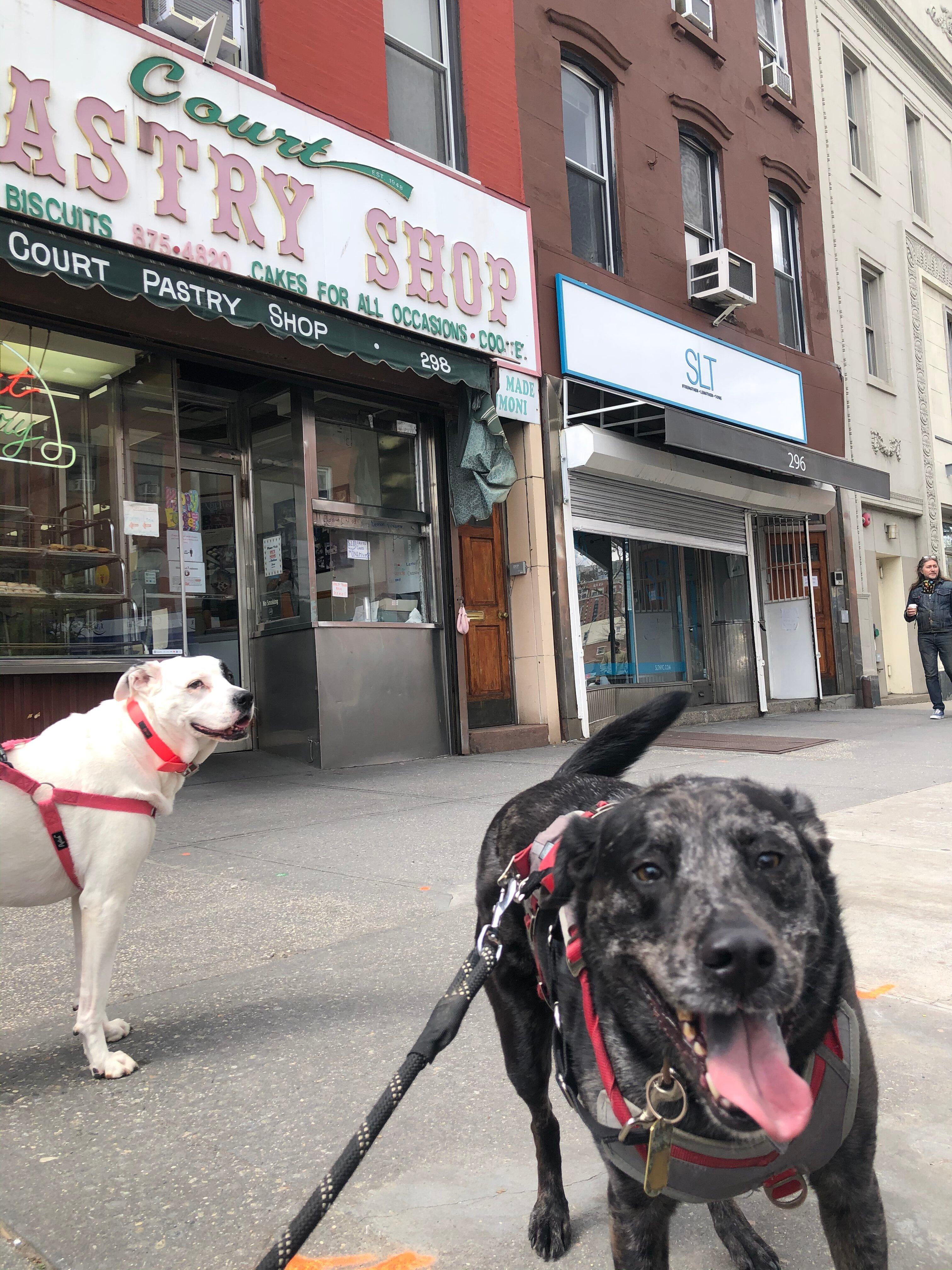 Caputo's Pastry Shoppe