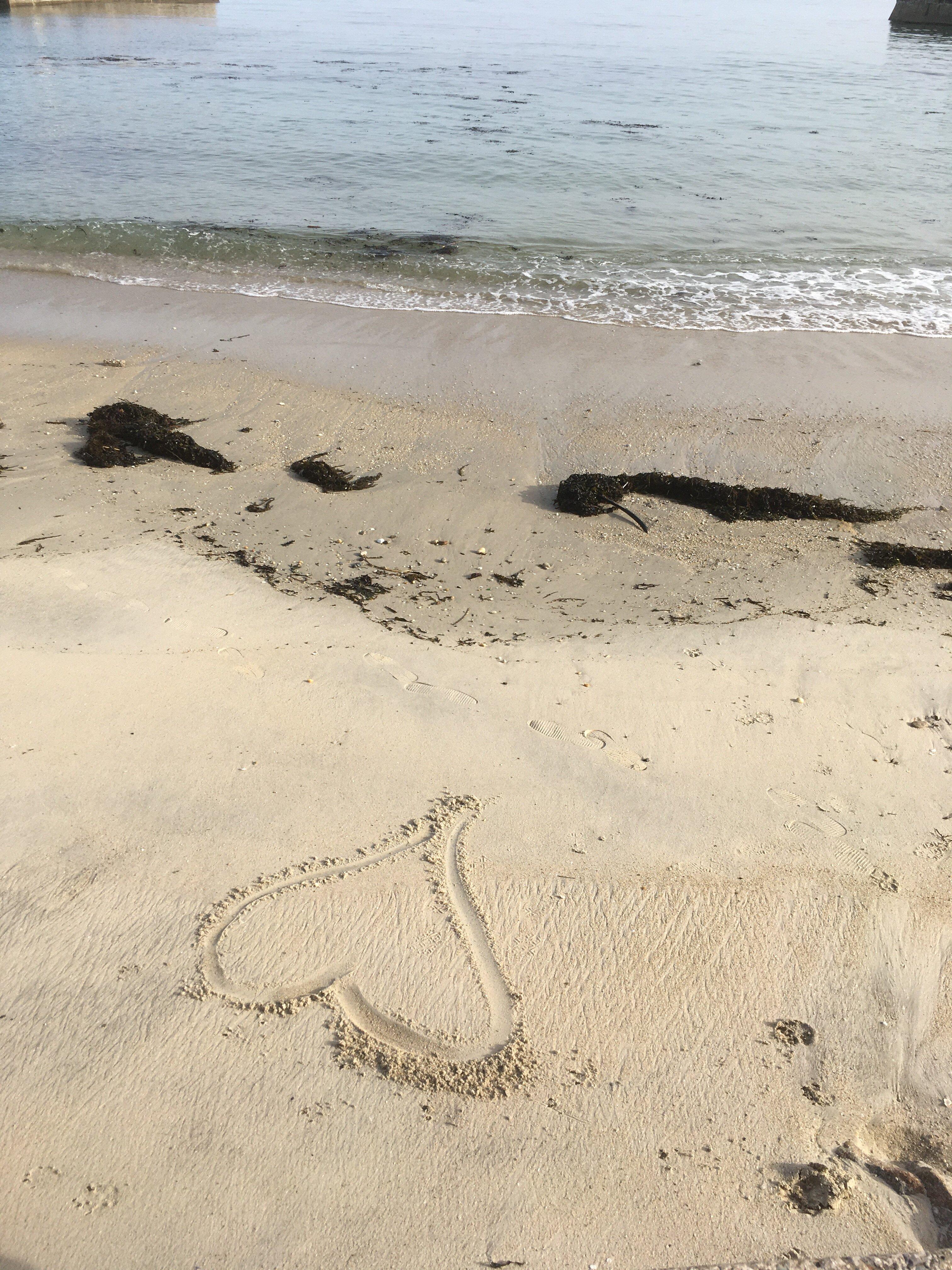 L'ancre De Miséricorde