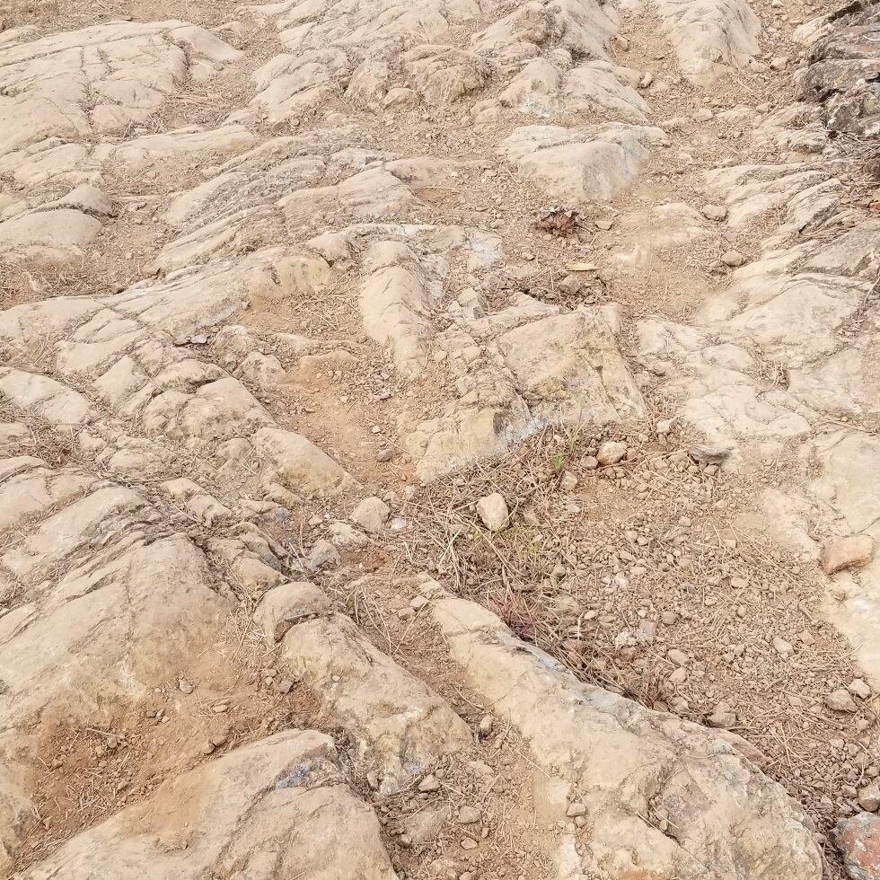 Photo by mermchel123