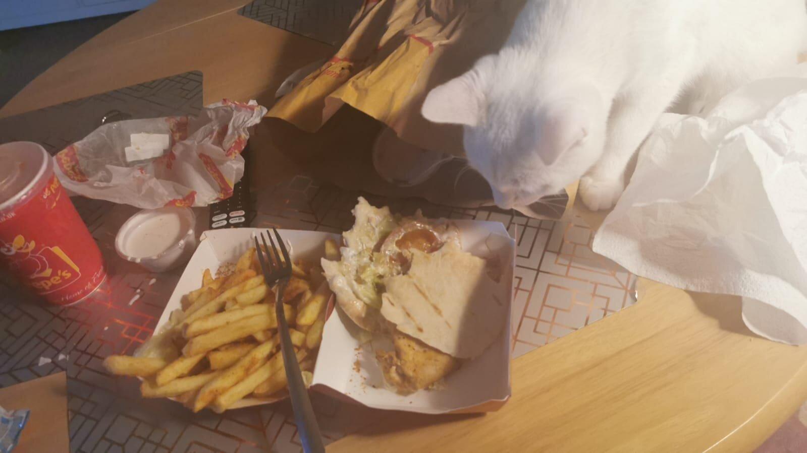 Photo by LightPacker361316