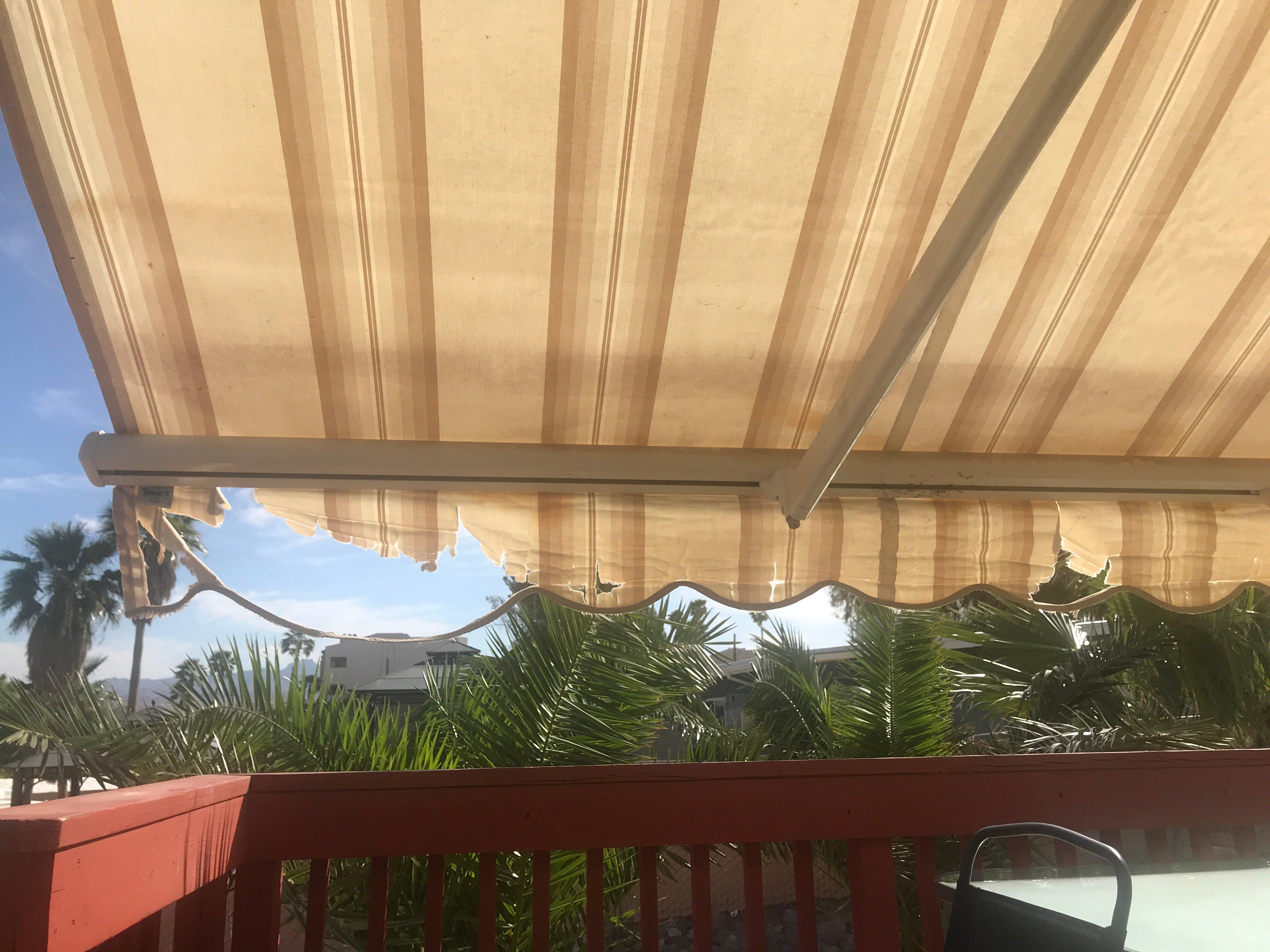 Colorado River Oasis