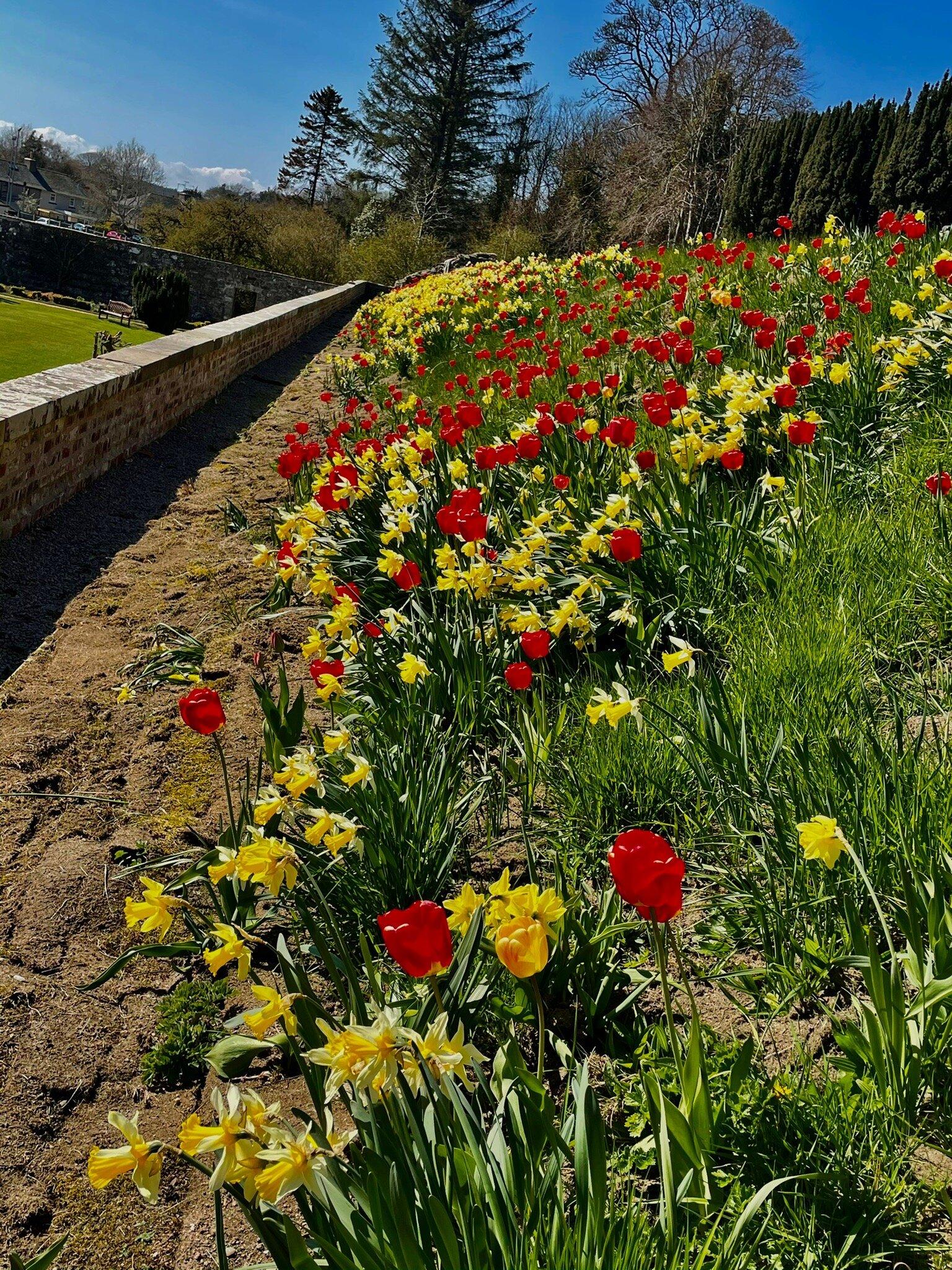 Ellon Castle Gardens
