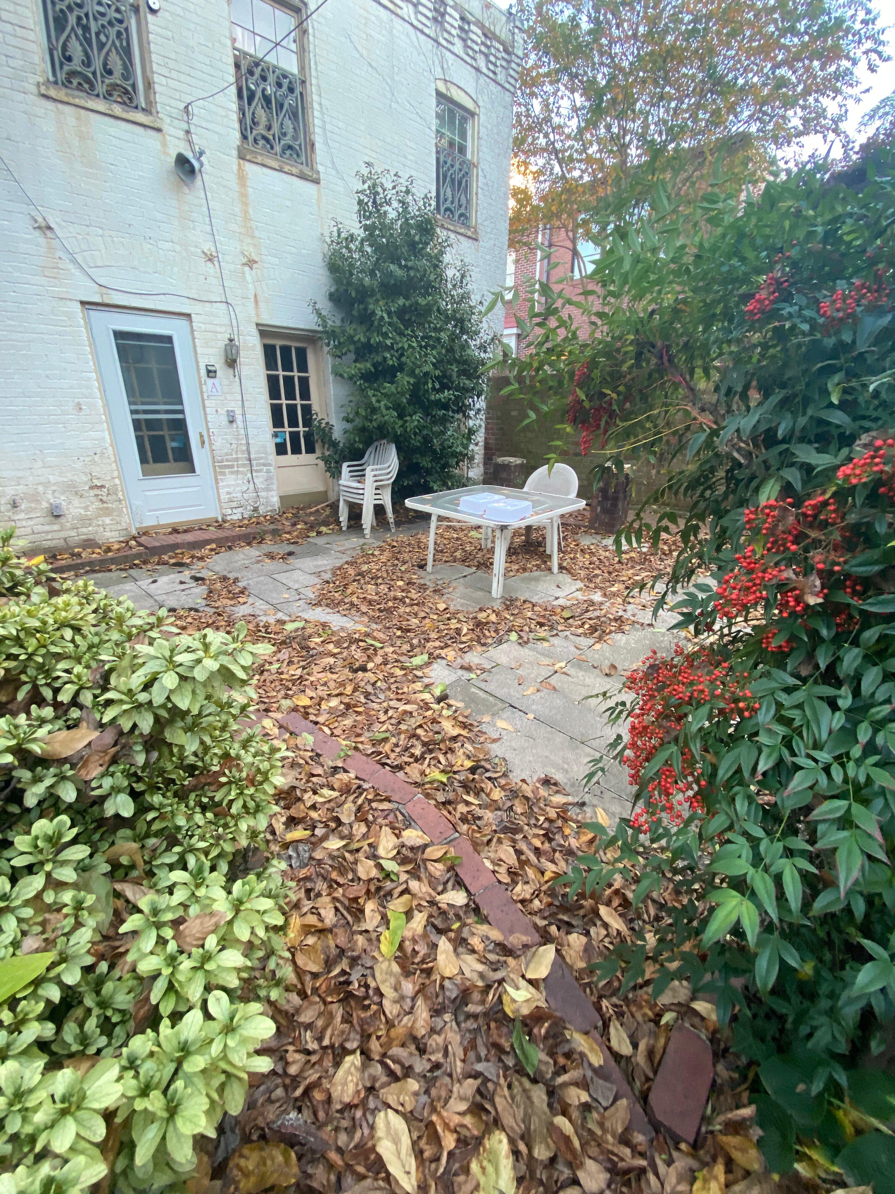 Photo by MichaelLMichele