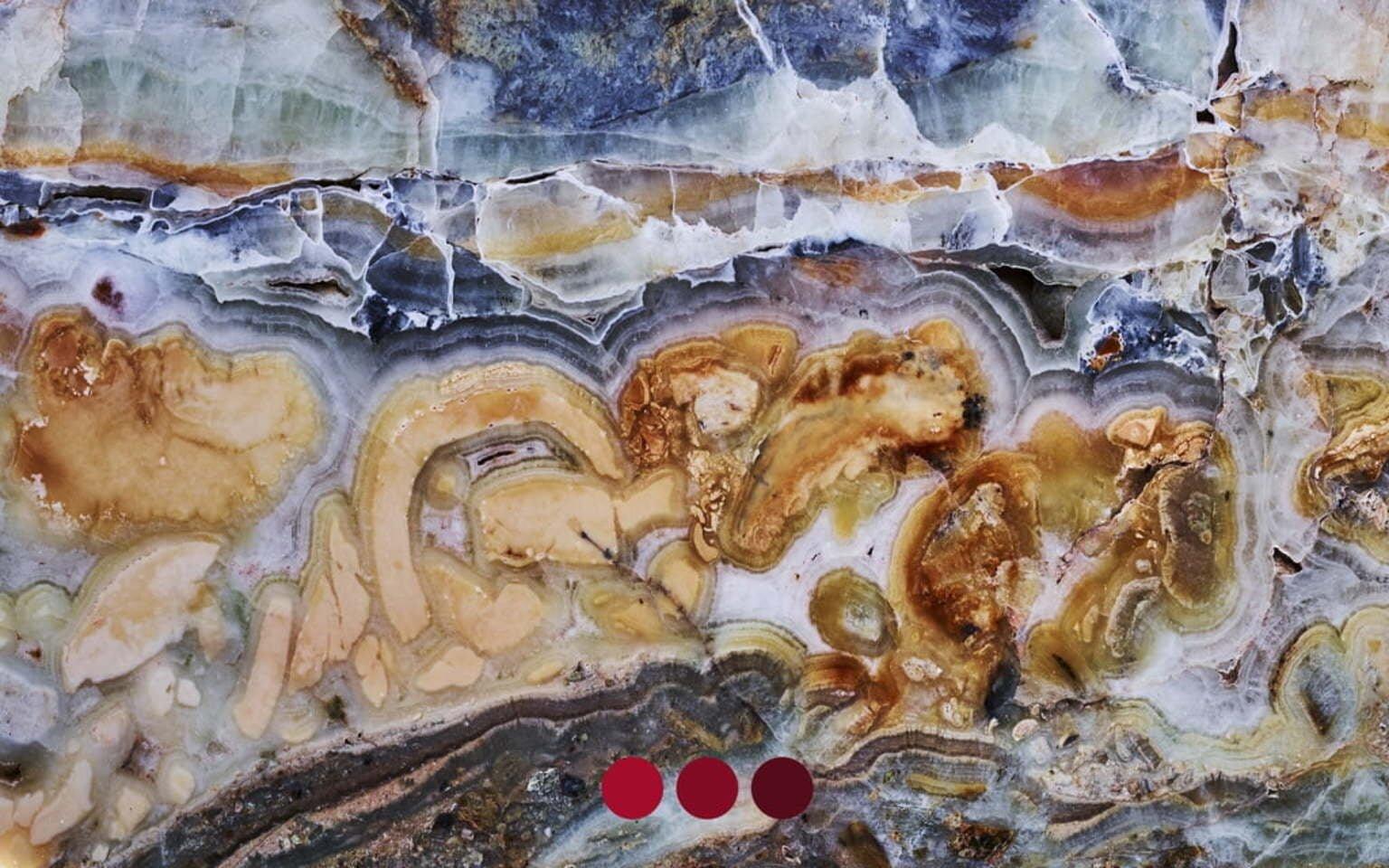 Photo by jurassica02