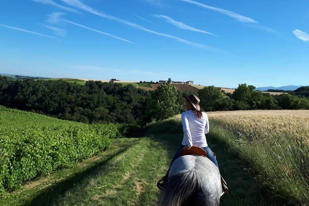 DOMAINE CHAMBEYRON - VISITE DU VIGNOBLE A CHEVAL