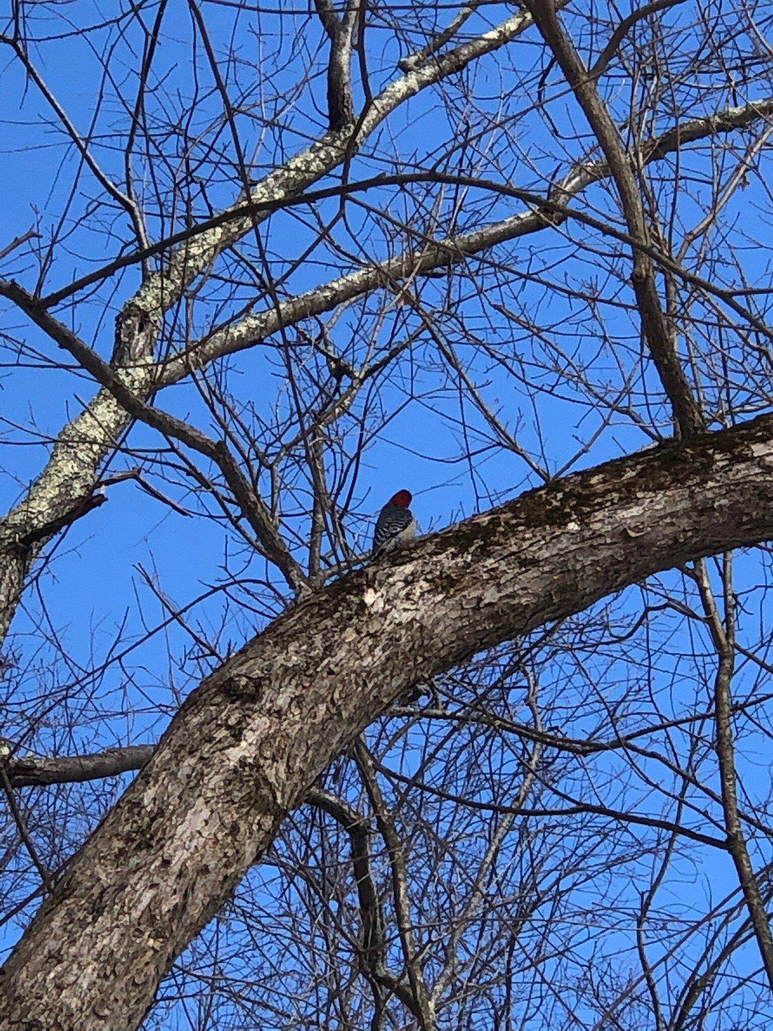 Photo by Christenthia L