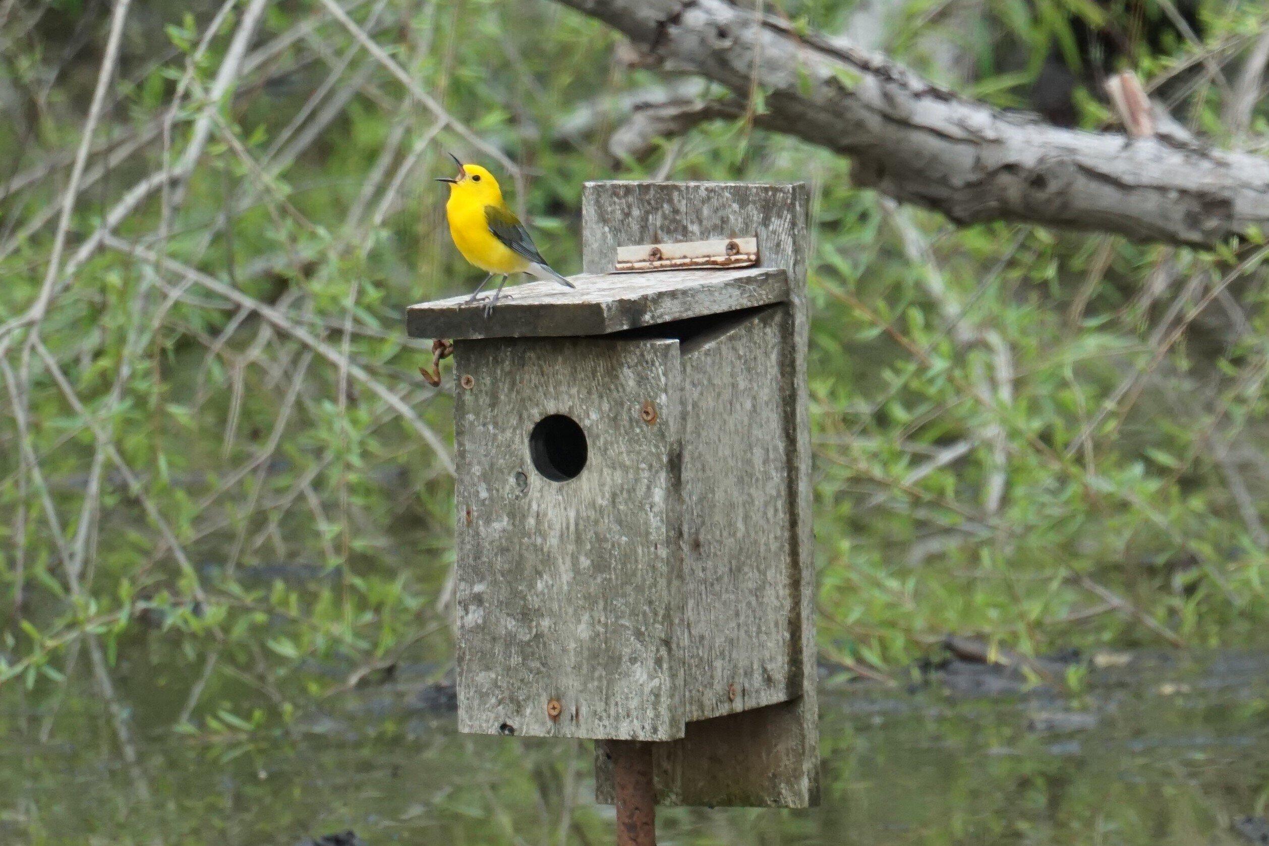 Tishomingo National Wildlife Refuge