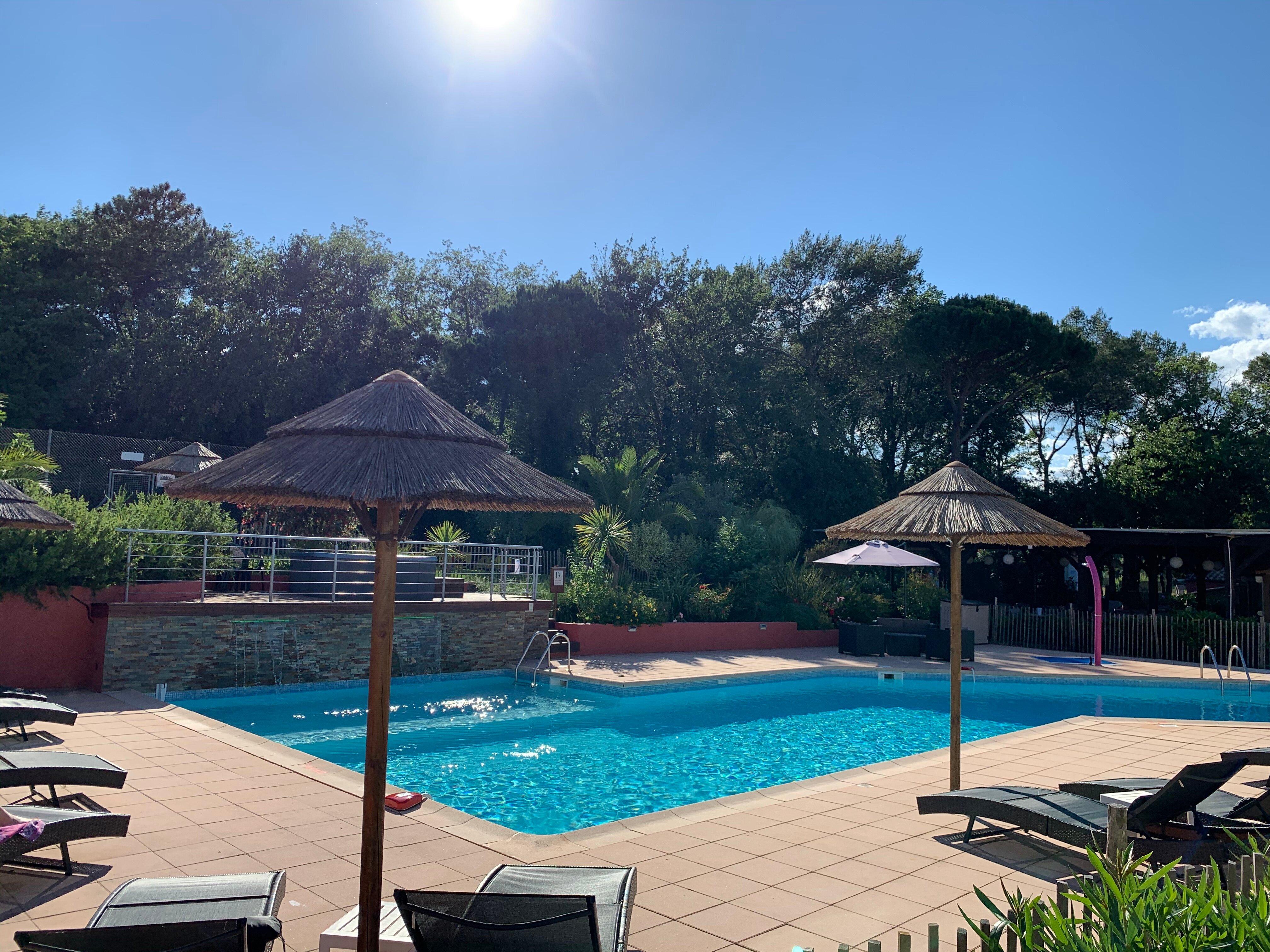 Les Pins Blancs De Provence