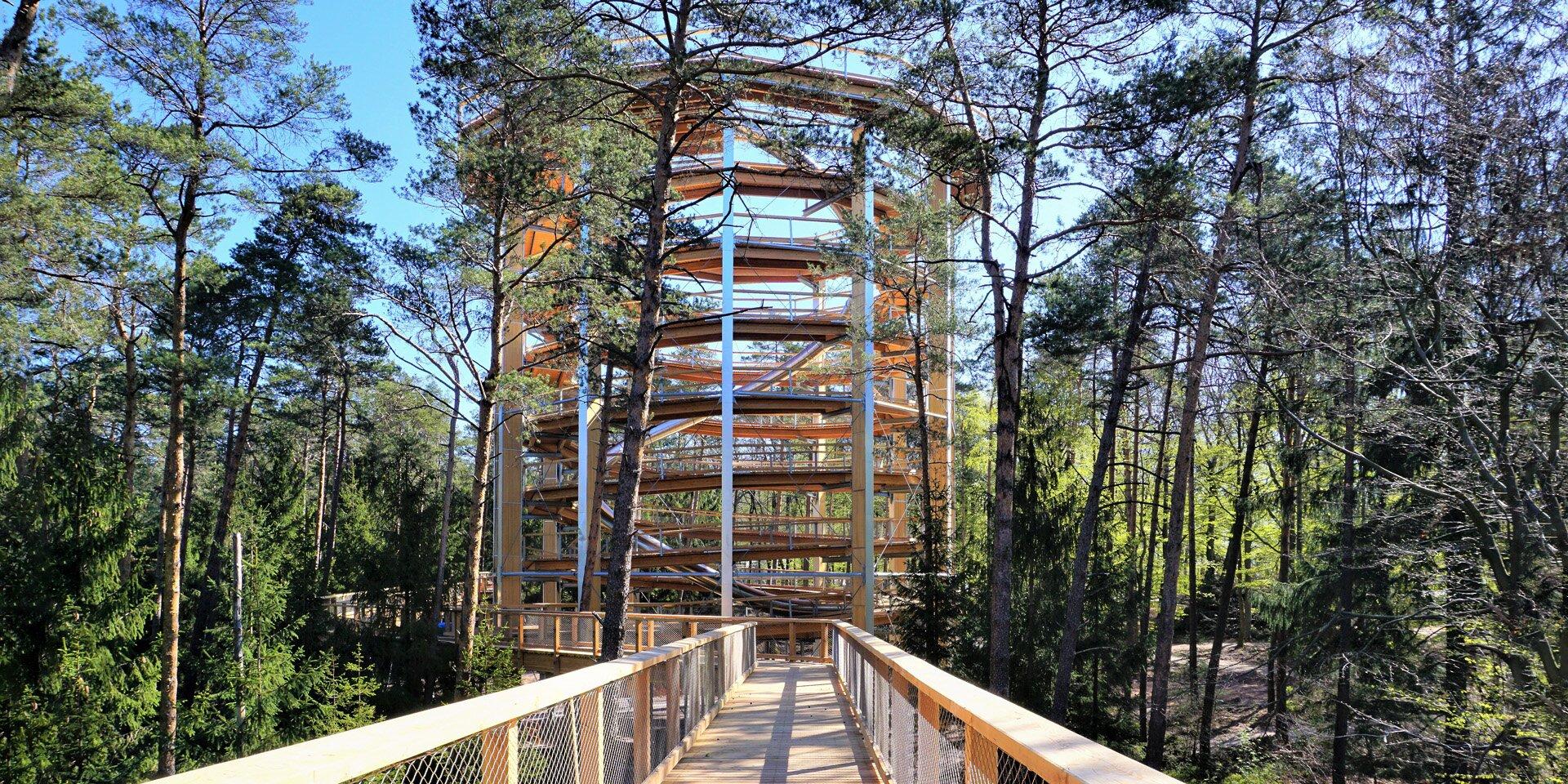 Chemin Des Cimes Alsace