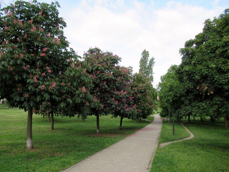 Parco Delle Memorie Industriali