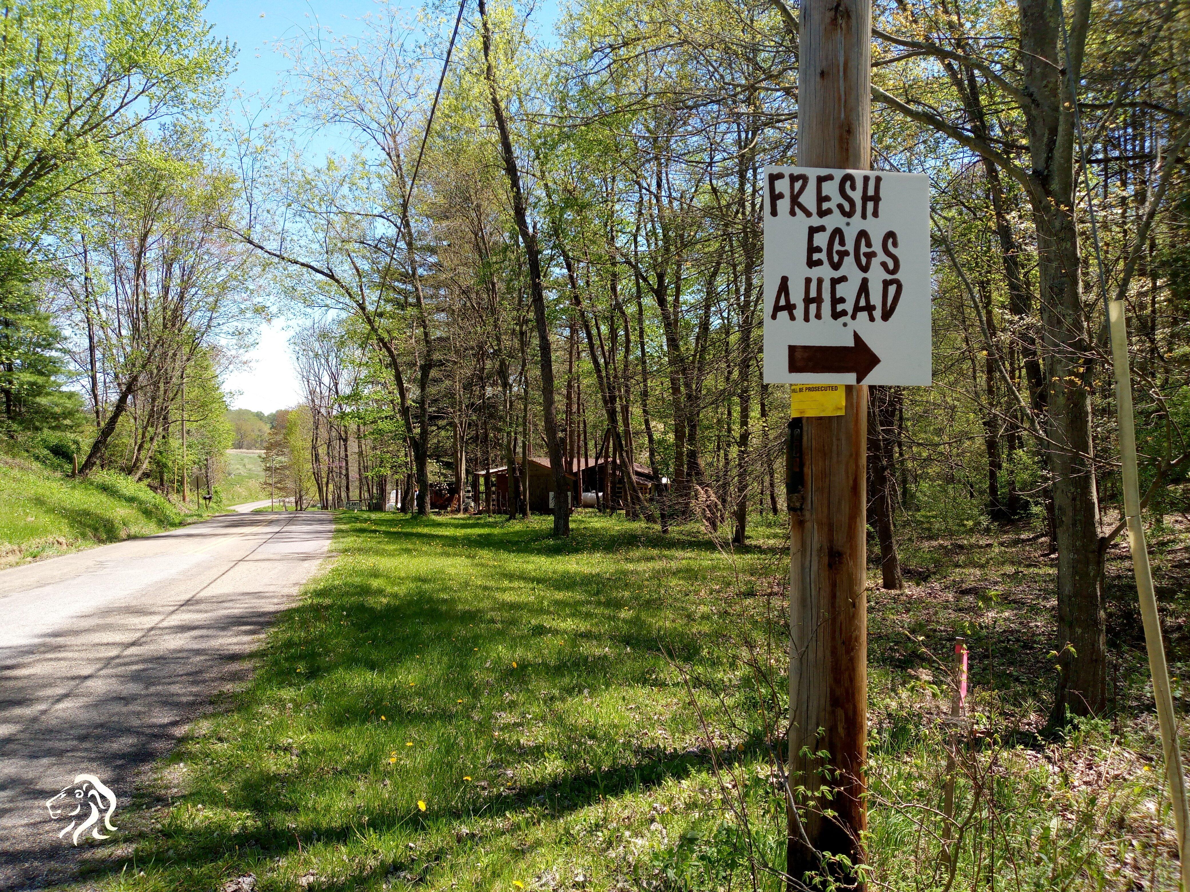 Camille Road Farm General Store