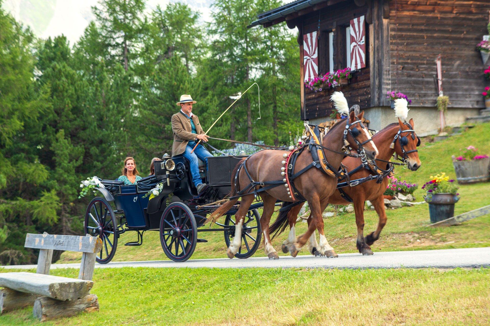 Carriage Dance Motti