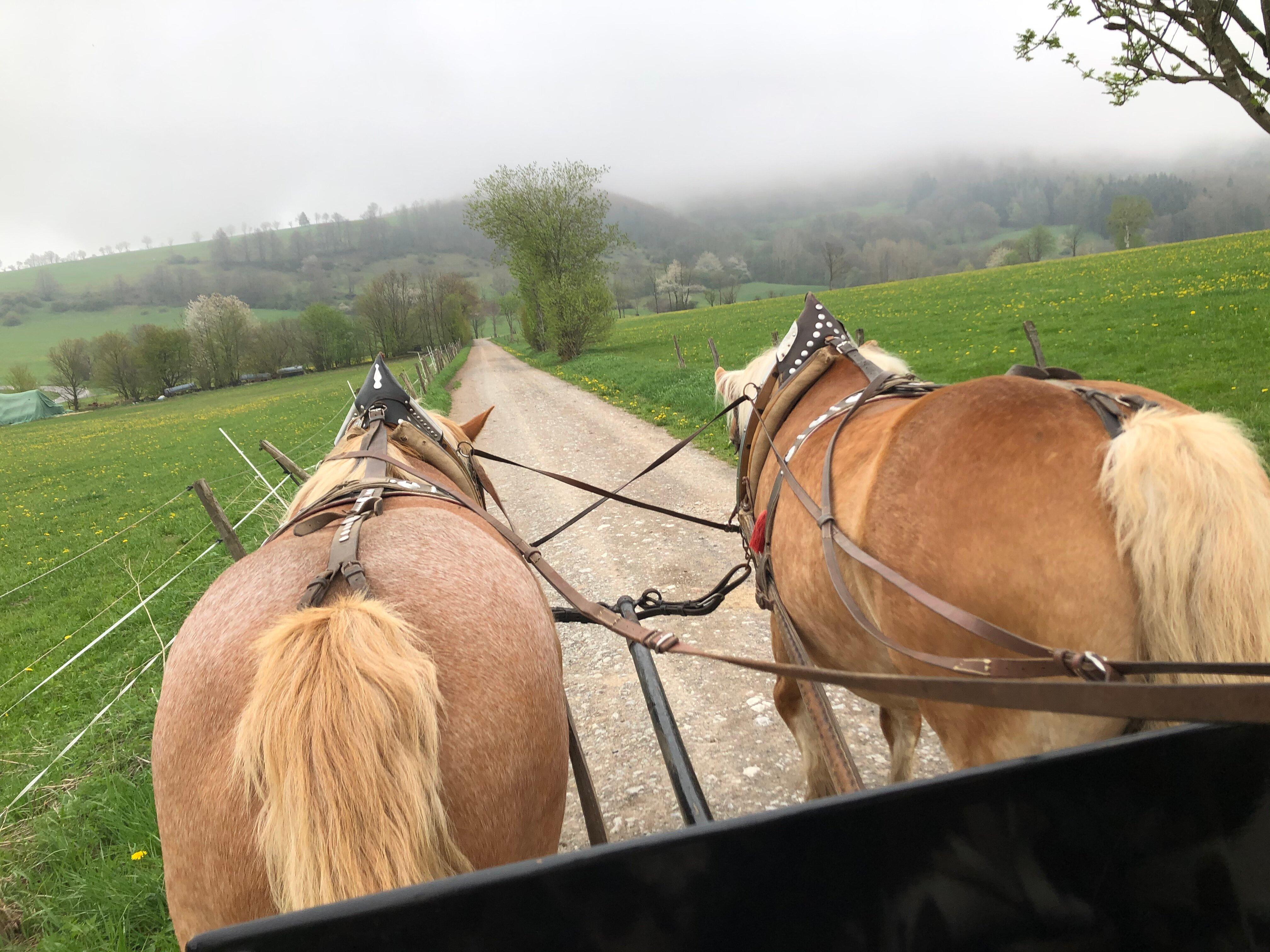 Reit-und Fahrstall Reder