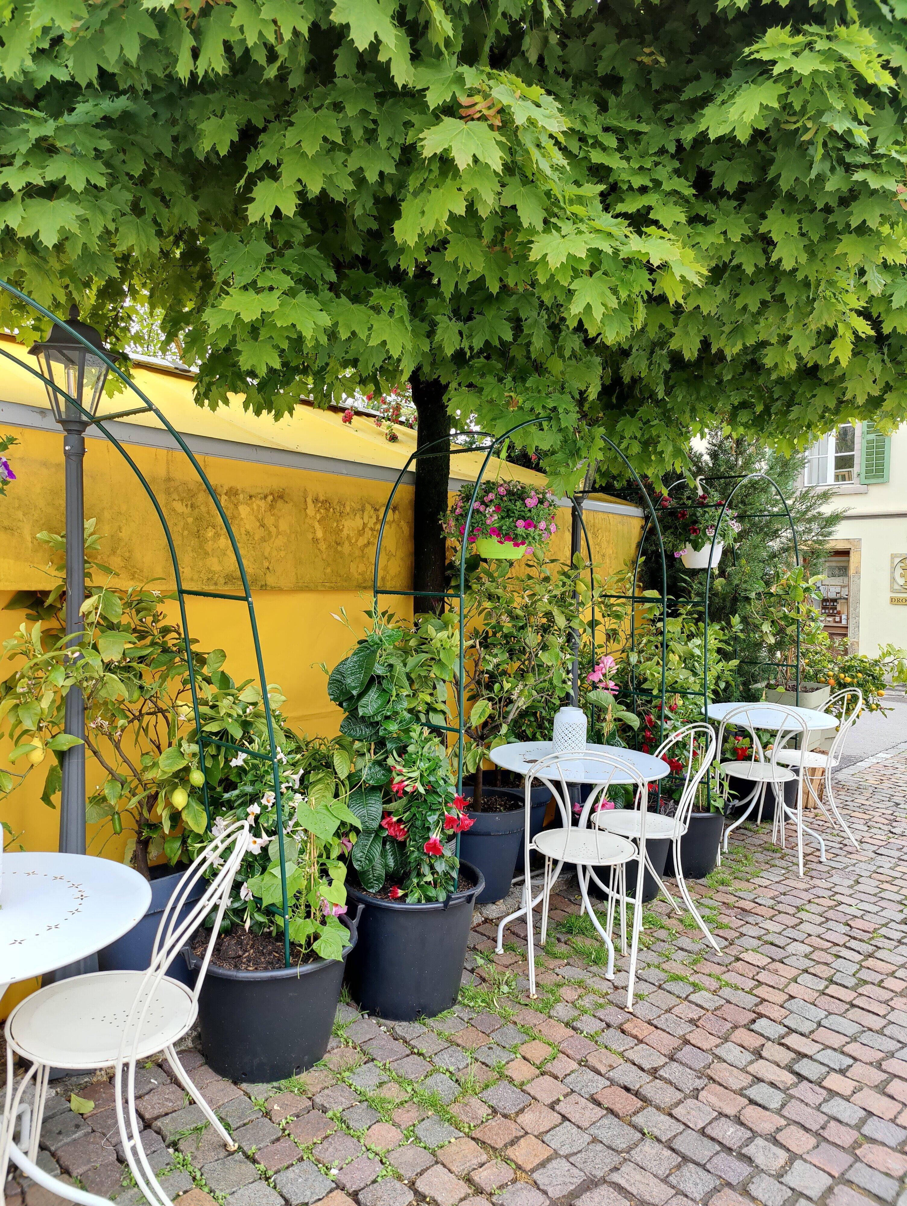 Il GIardino by Margherita