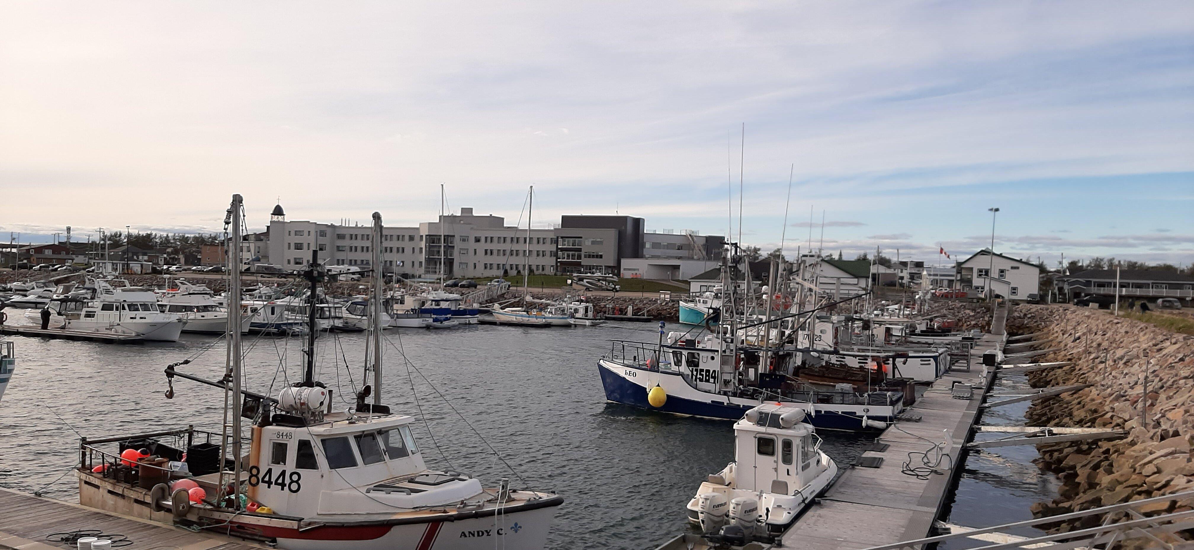 Photo by maskoutain2575