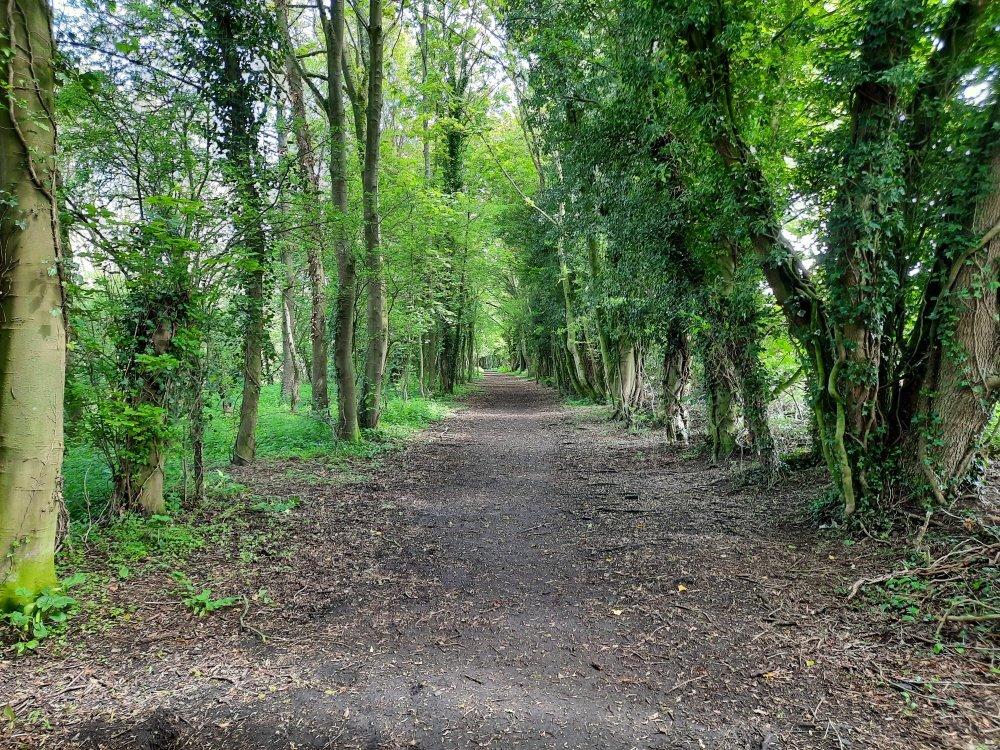 Lavenham To Long Melford Rail Walk