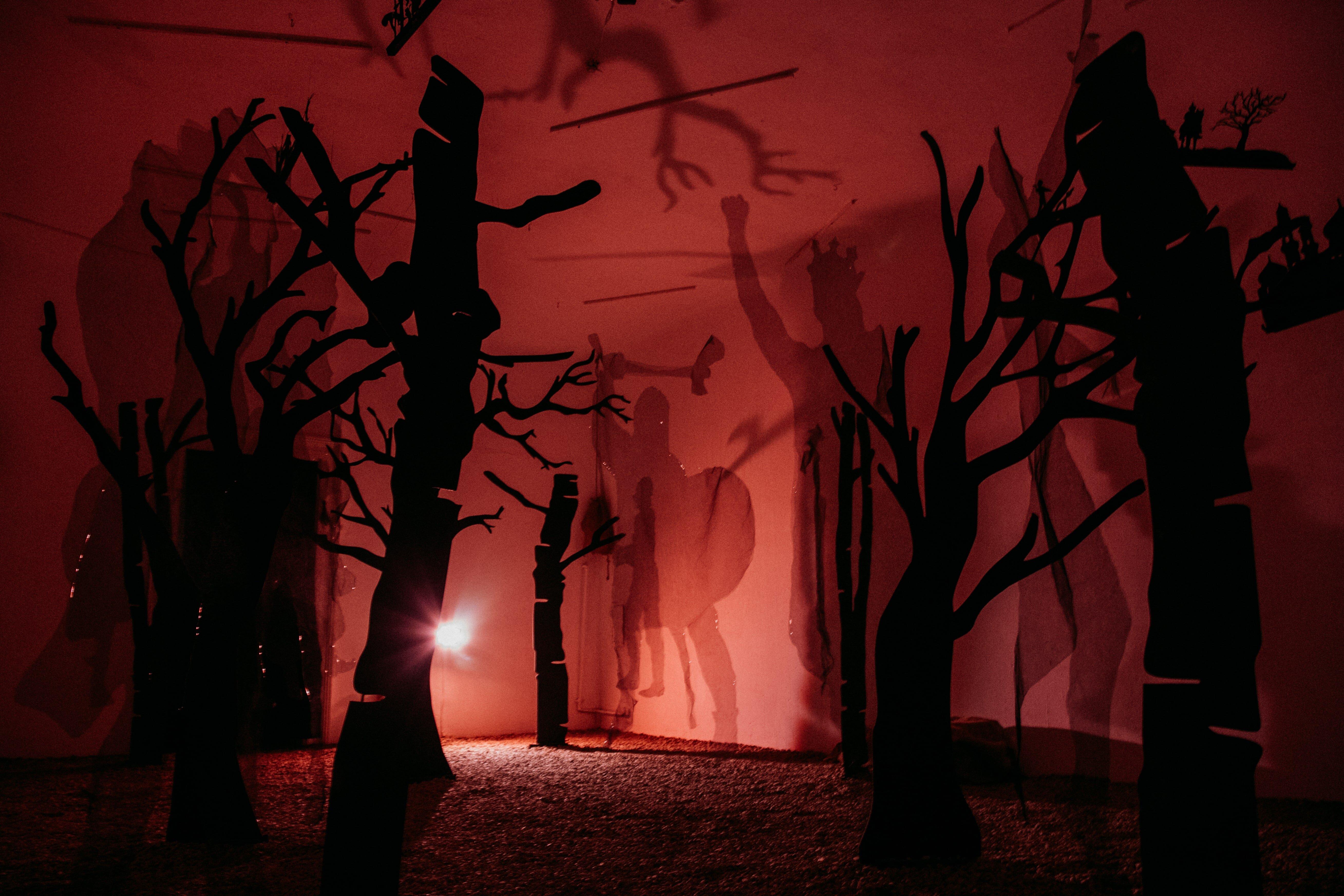 The Dracula Investigation