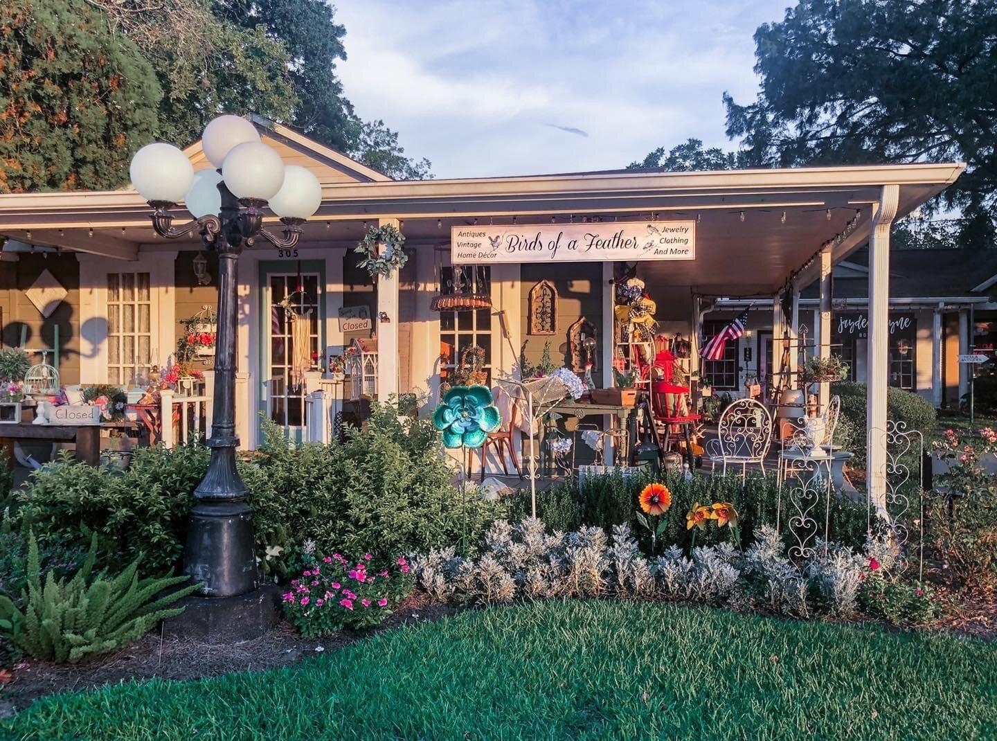 Birds of a Feather Antique & Vintage Marketplace