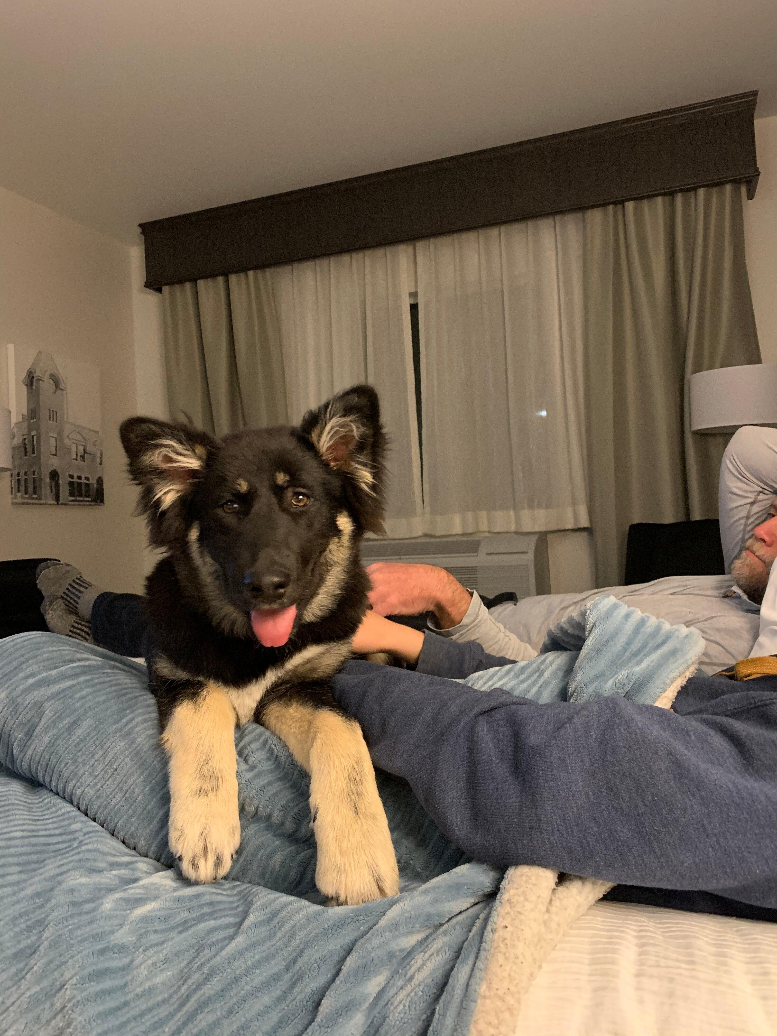 Best Western Plus Morden