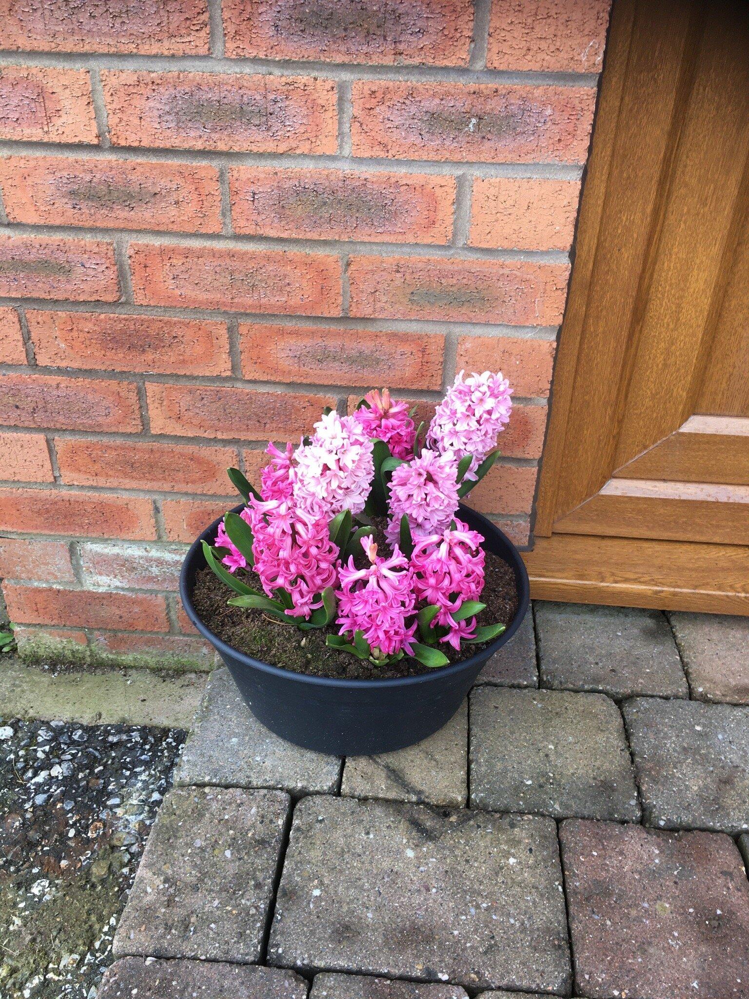 Costa Coffee Drive Thru