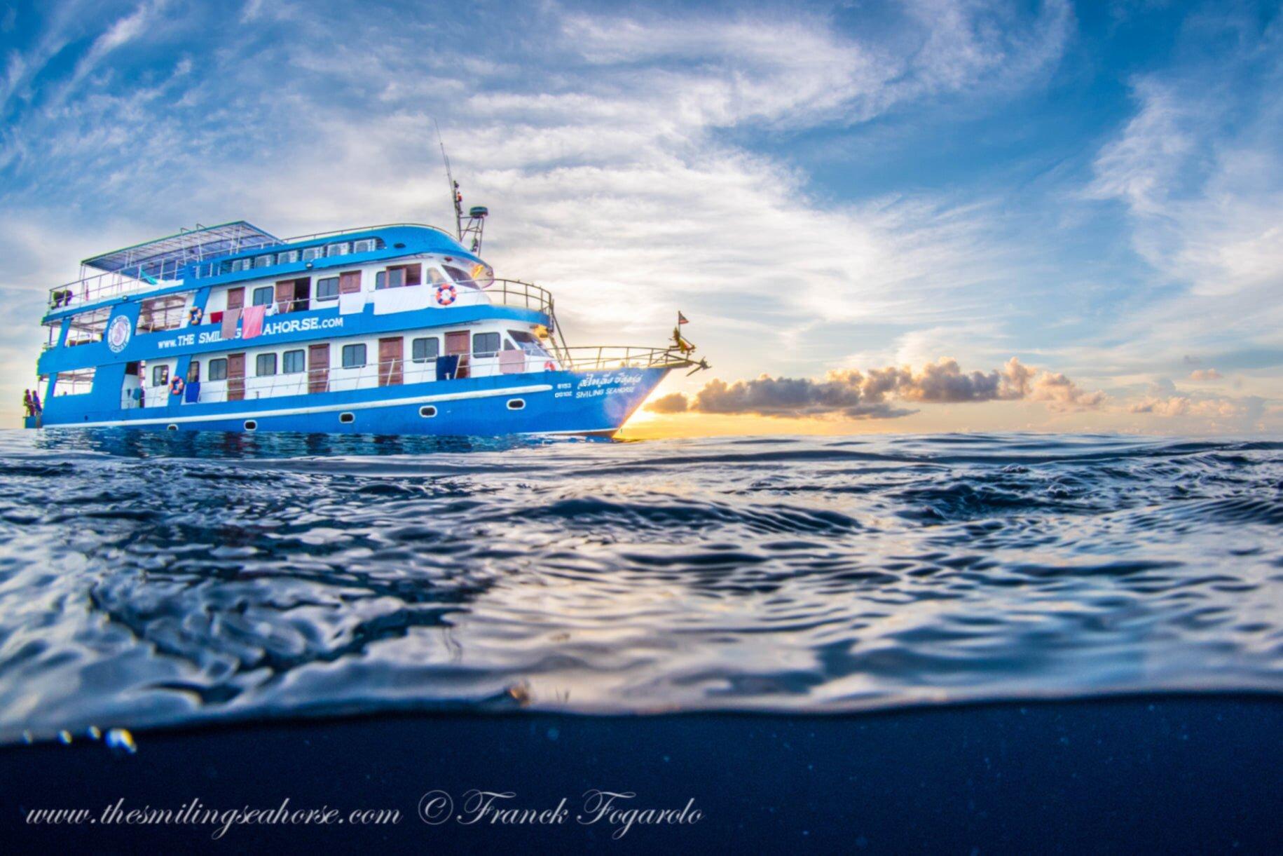The Smiling Seahorse
