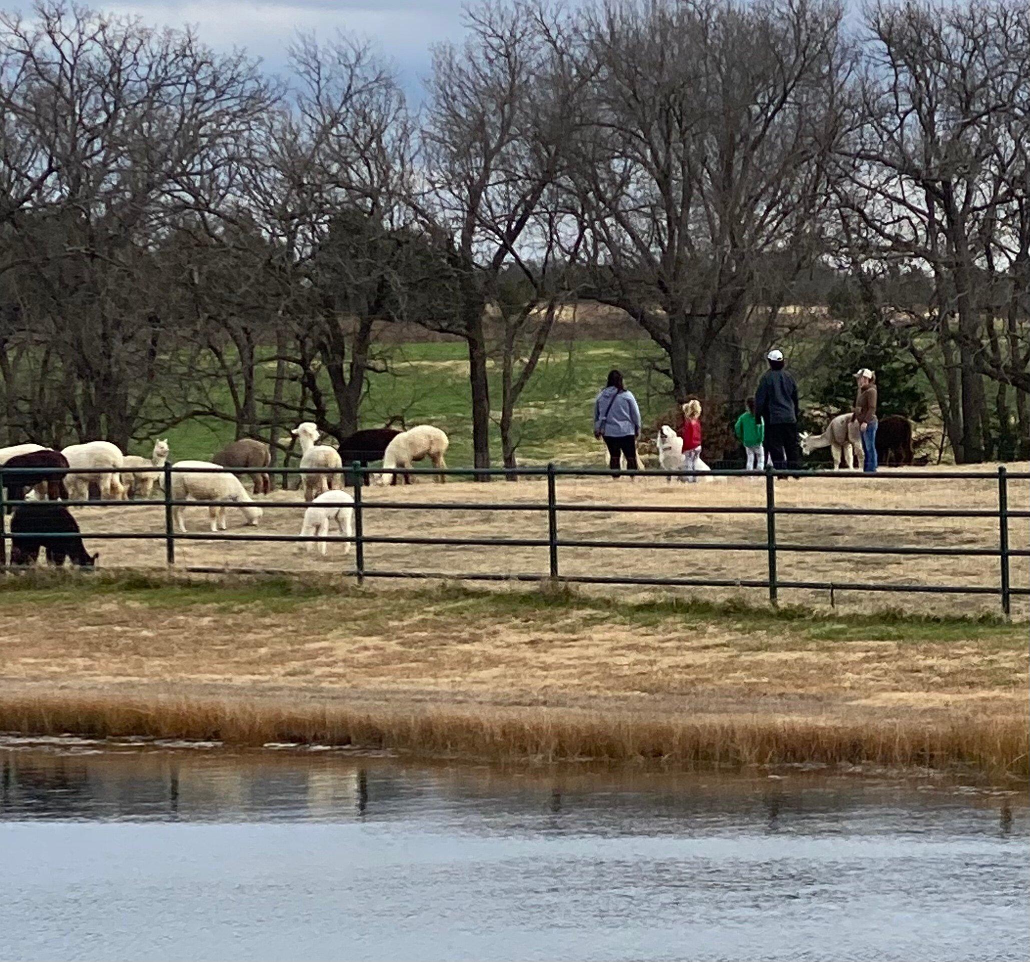 Structured Chaos Farm