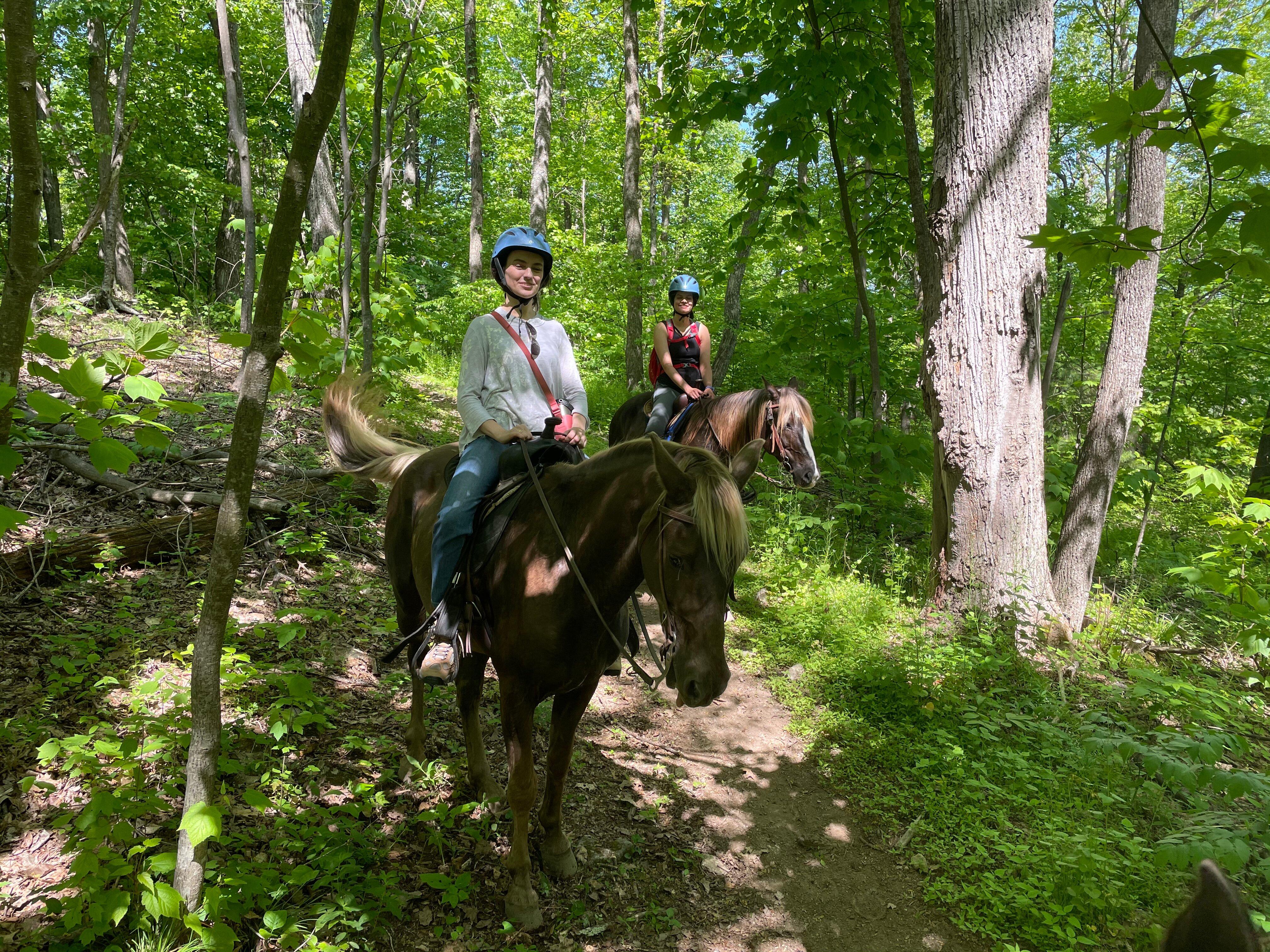 Appalachian Horse Adventures - Montebello, VA