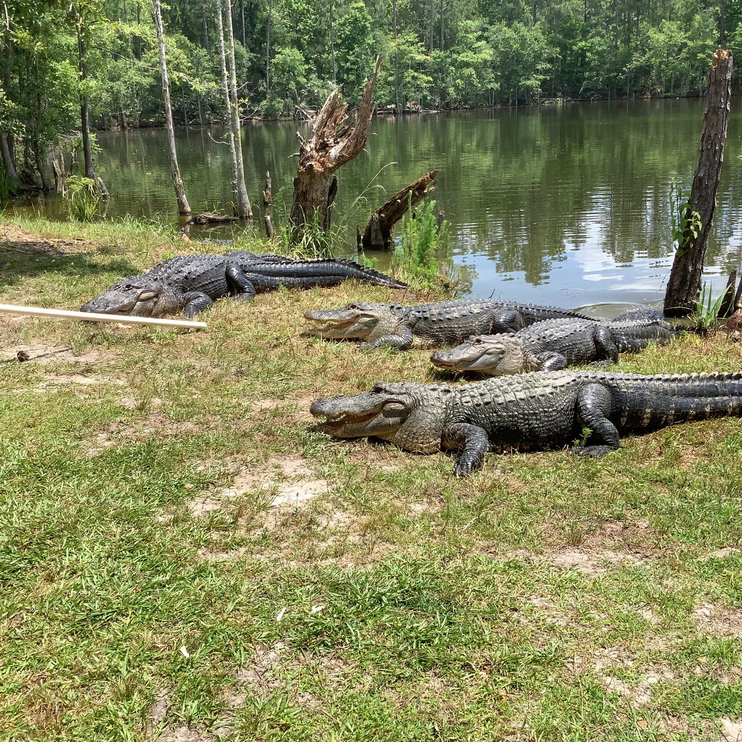 Photo by CathyLou1234