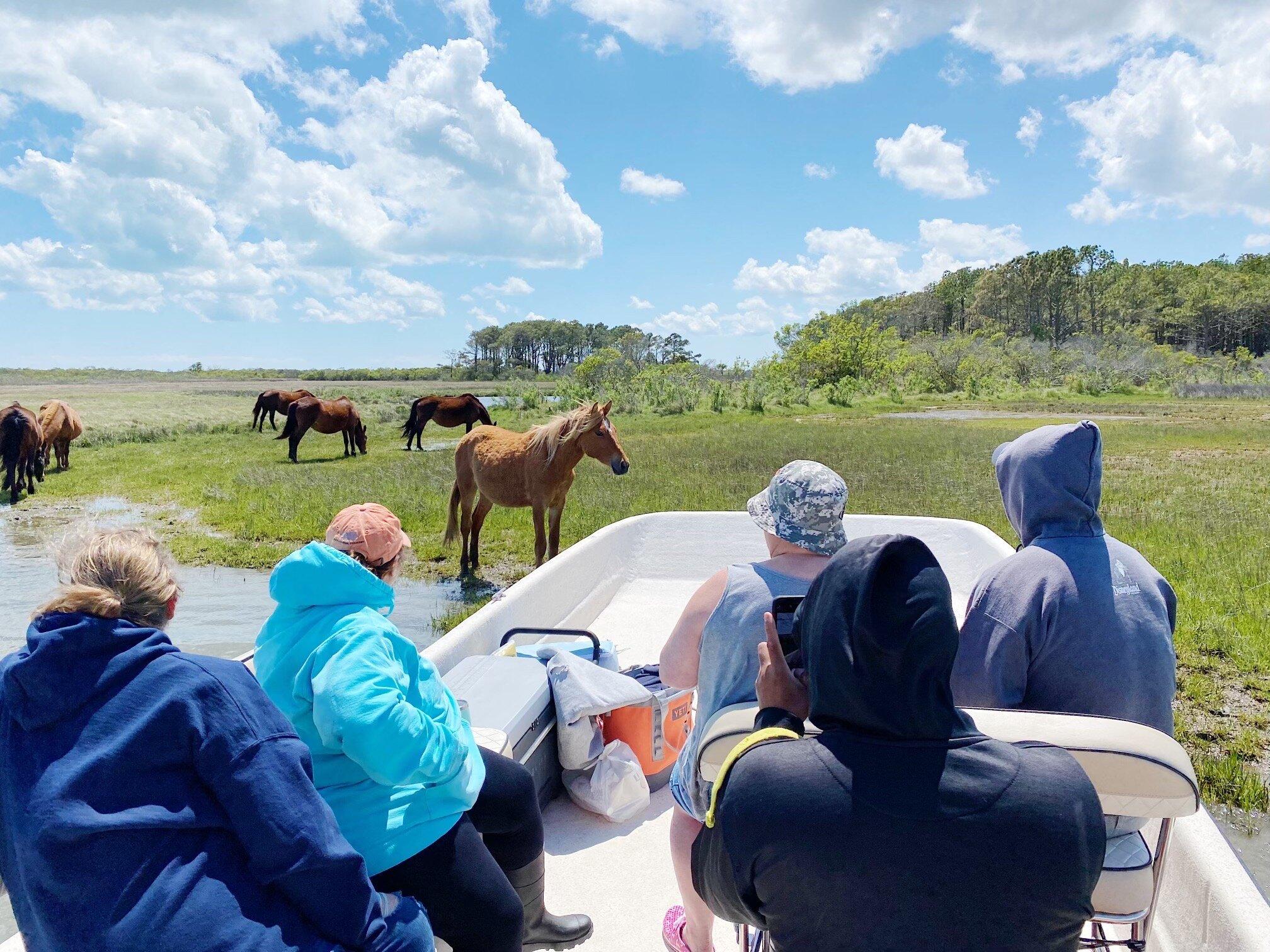 Photo by beverlyl857