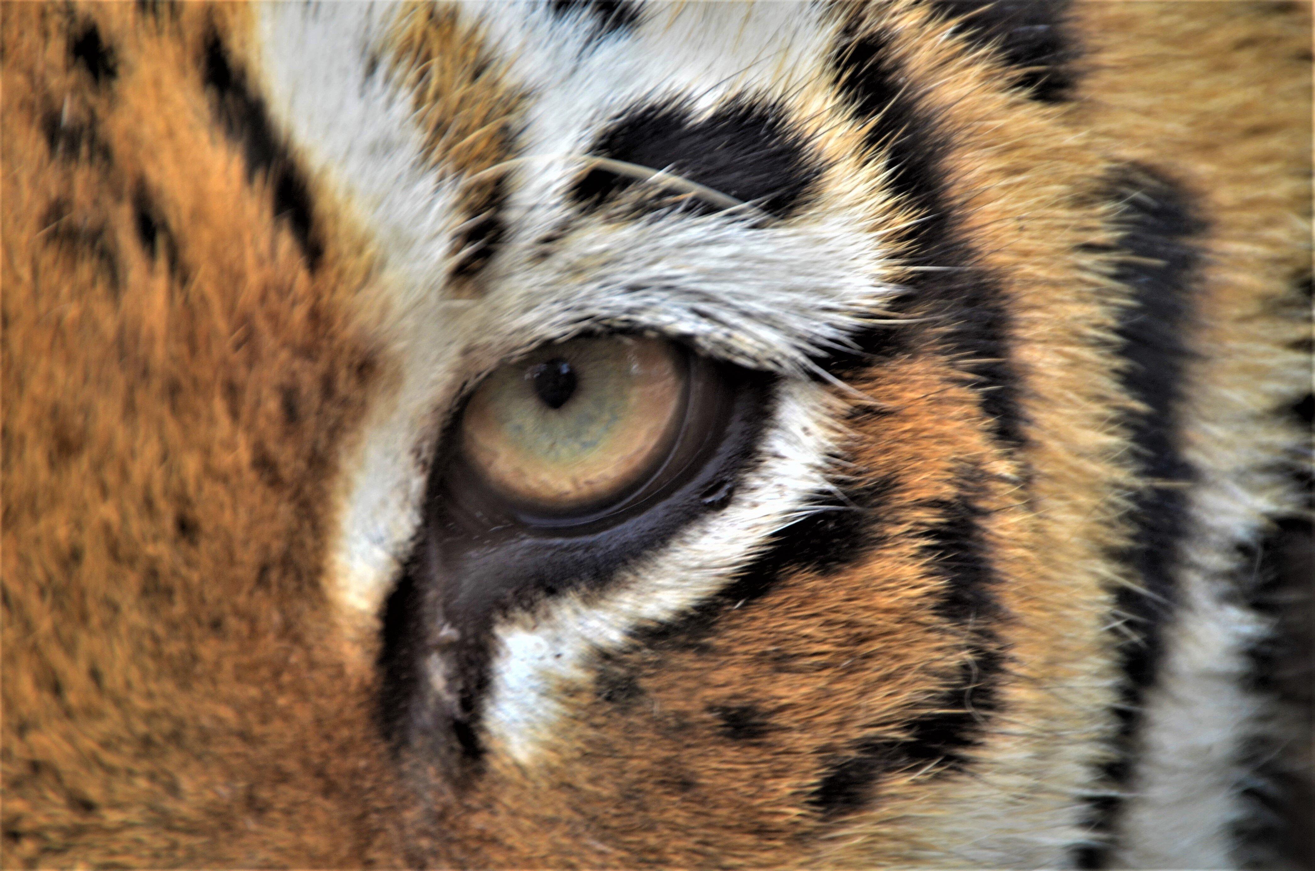 EcoZonia - Parc Animalier