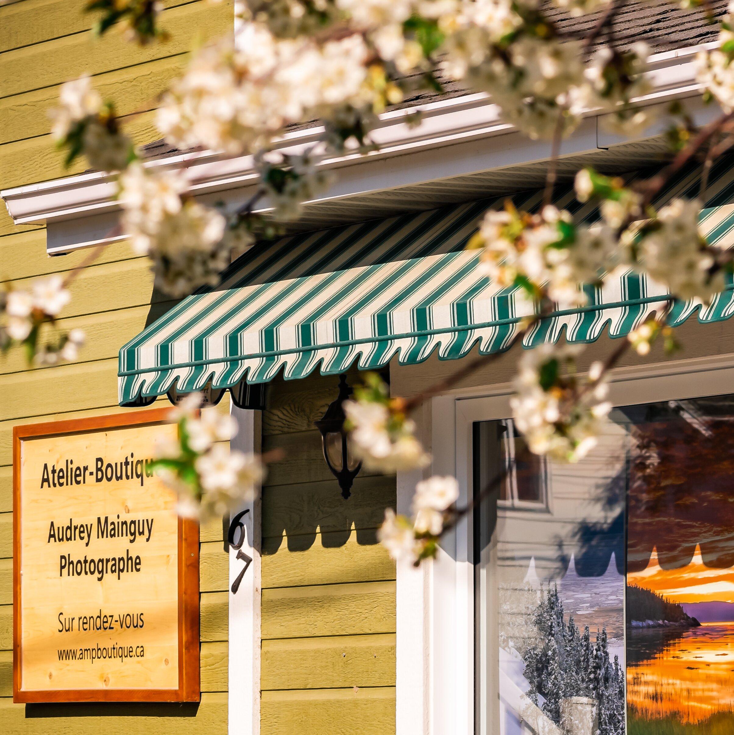 Galerie-Boutique de la Maison Verte