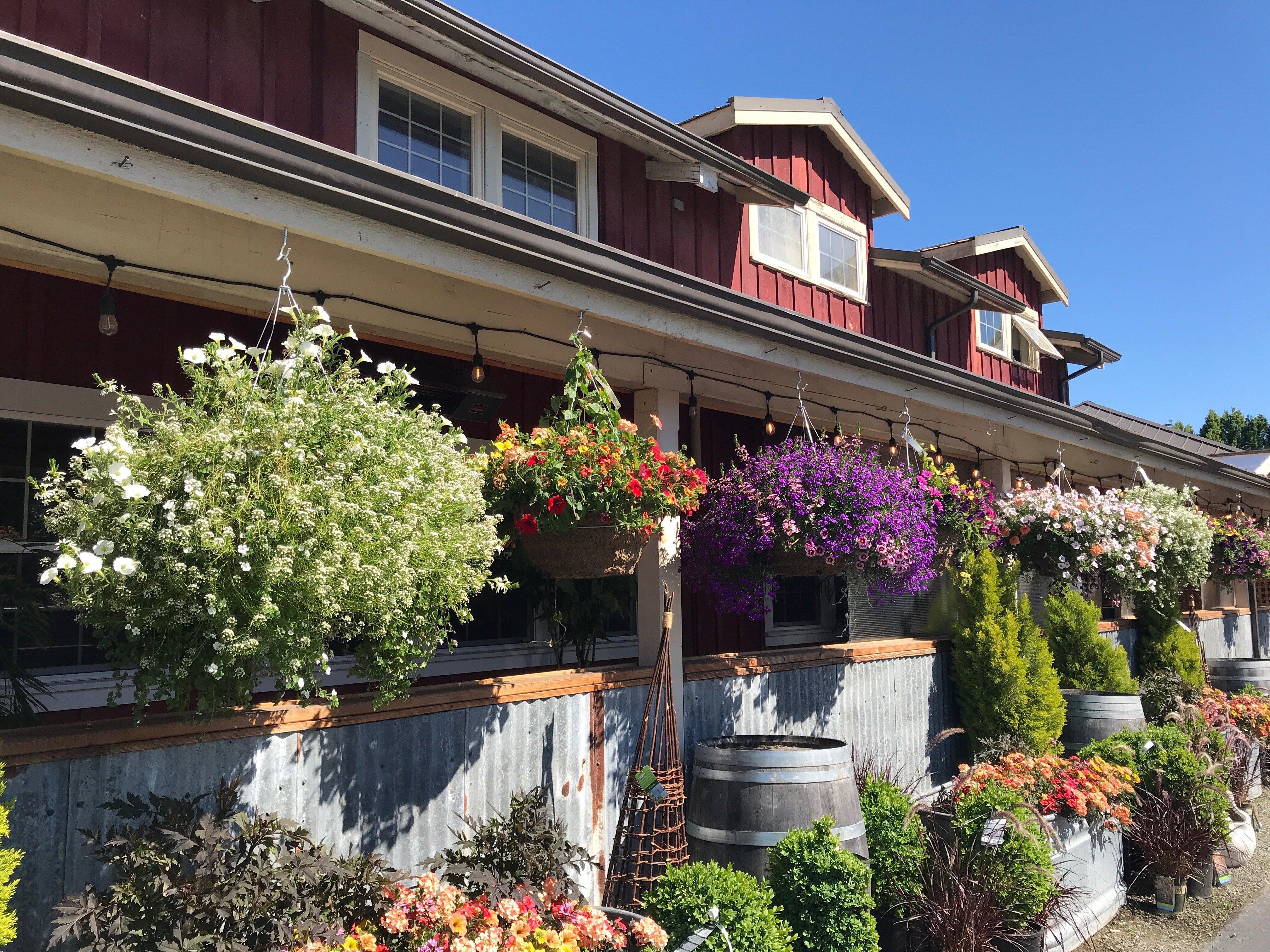 Photo by simivalley1699